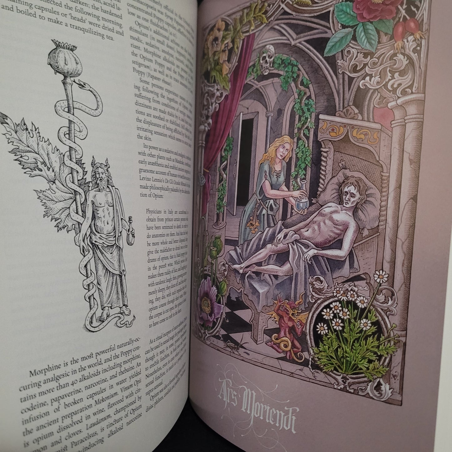 The Green Mysteries: An Occult Herbarium by Daniel A. Schulke with Illustrations by Benjamin A. Vierling (Three Hands Press, 2022) Paperback Edition