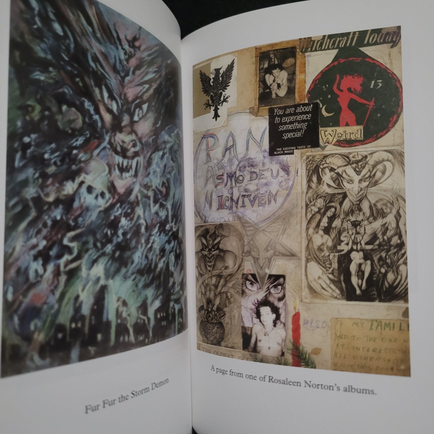Thorn in the Flesh: A Grim-memoire by Rosaleen Norton With an Introduction by Keith Richmond (The Teitan Press, 2009) Limited Edition Hardcover
