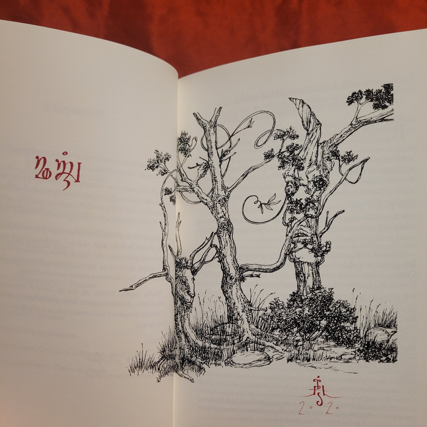 Goêtic Common Sense: An Interlude for the Inveterate Chthonic Sorcerer by Frater Acher (Paralibrum Press, 2022) Deluxe Special Signed Half Leather Bound Edition Limited to 30 Copies