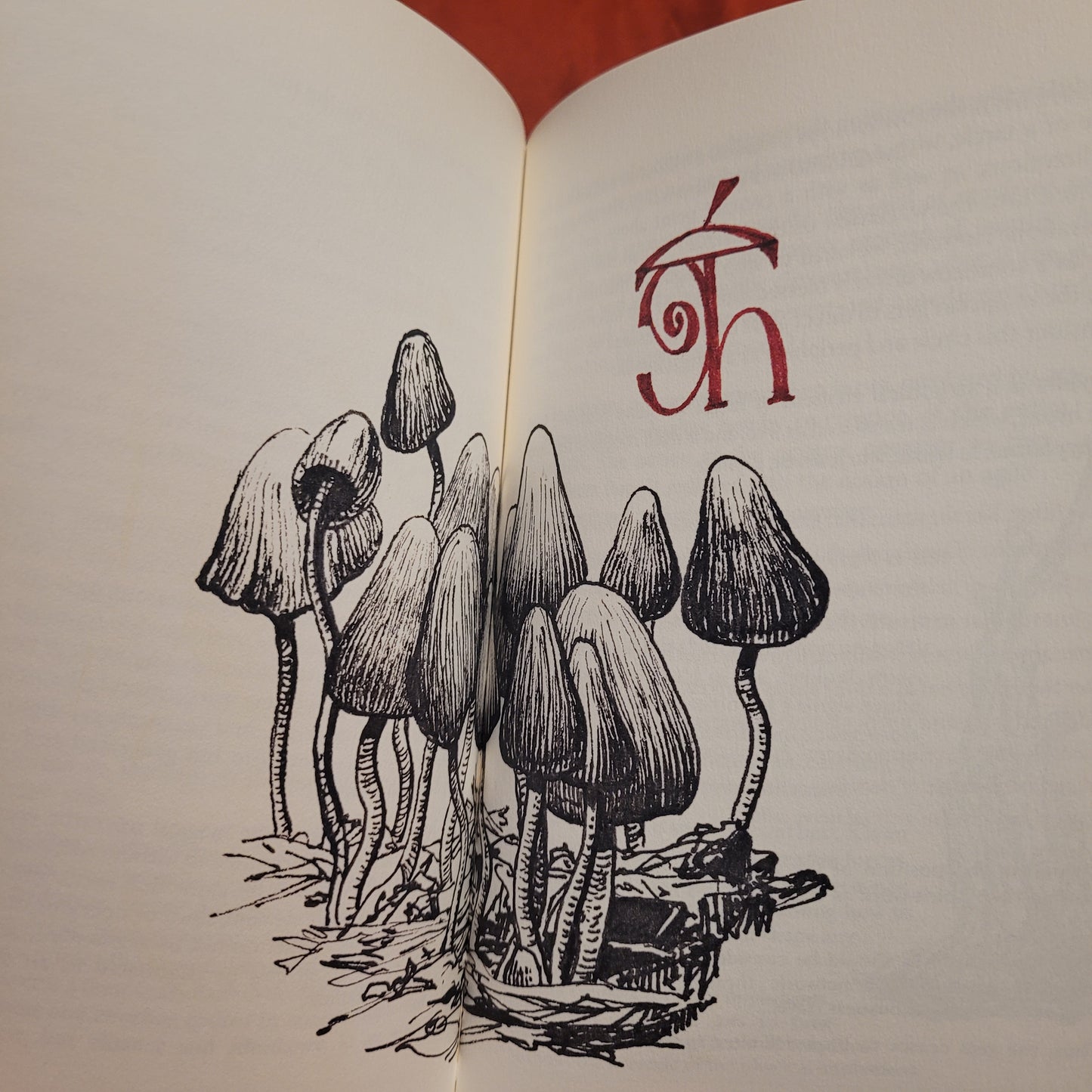 Goêtic Common Sense: An Interlude for the Inveterate Chthonic Sorcerer by Frater Acher (Paralibrum Press, 2022) Deluxe Special Signed Half Leather Bound Edition Limited to 30 Copies