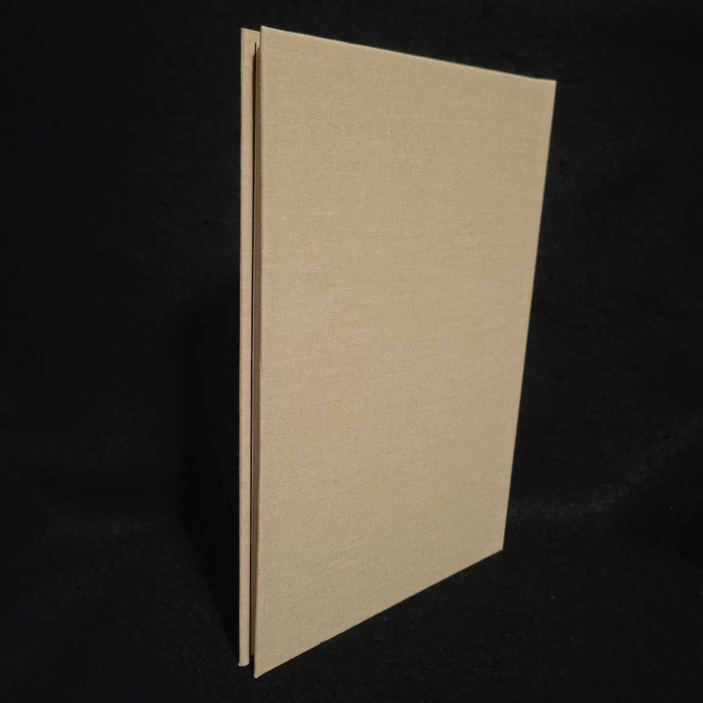 Scrying Stones & Dolmen Arches by Lee Brown Coye (Chiroptera Press, 2022) Cloth Hardcover Edition Limited to 100 Copies