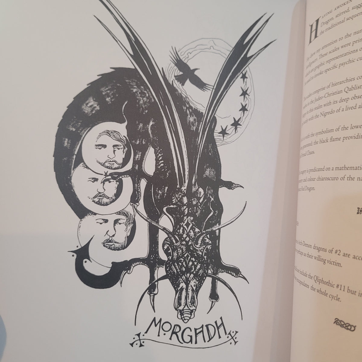The Alchymical Garden of Michael Foy by Sean Jefferson (Theion Publishing, 2026) Fine Hardcover Edition
