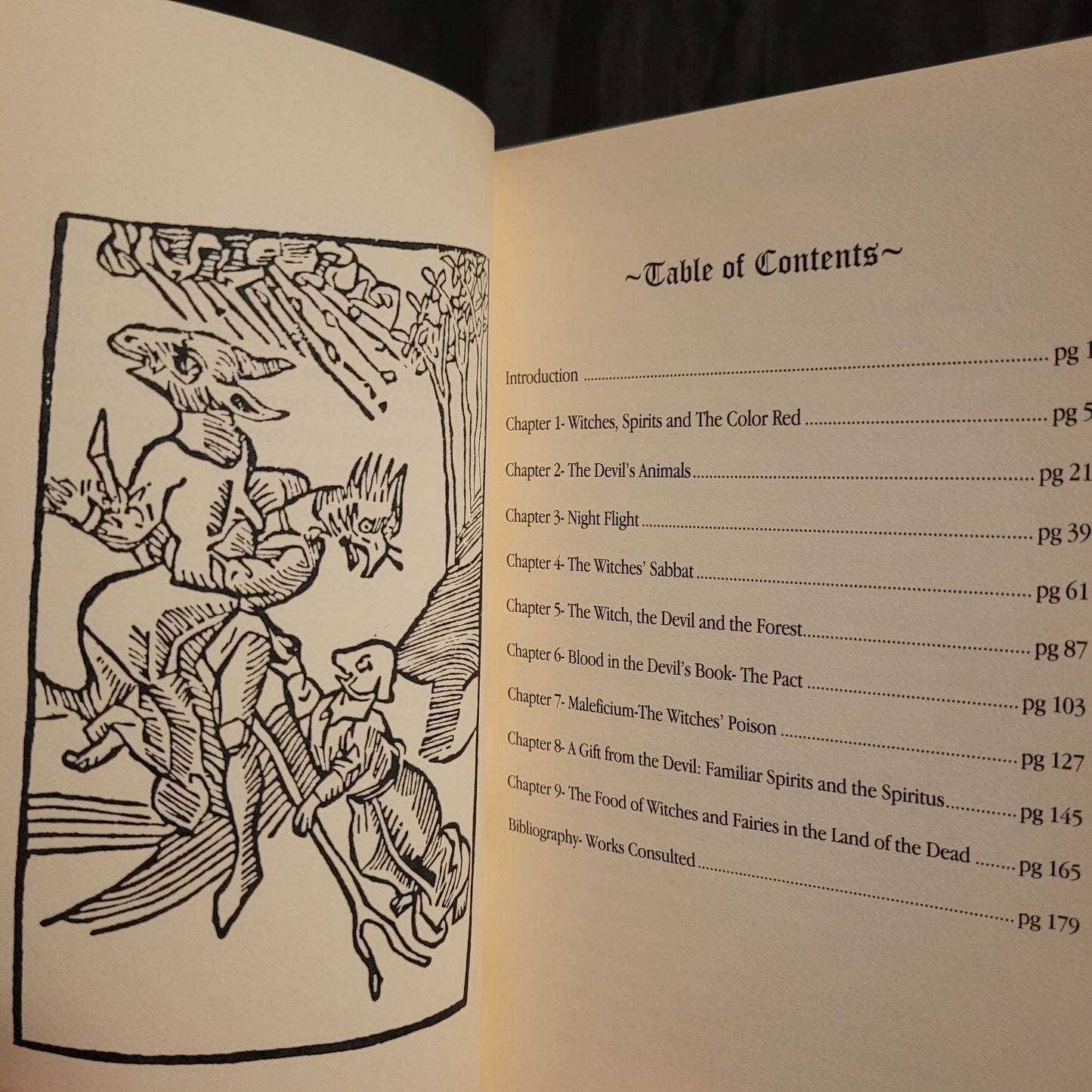 Between the Witch and the Devil: A Folkloric History by Corrine Boyer