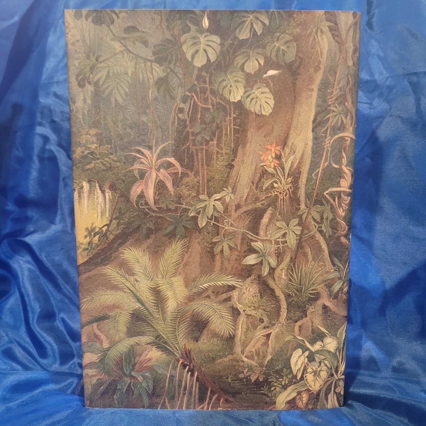 Ani.Mystic: Encounters with a Living Cosmos by Gordon White (Scarlet Imprint 2022) Hardback