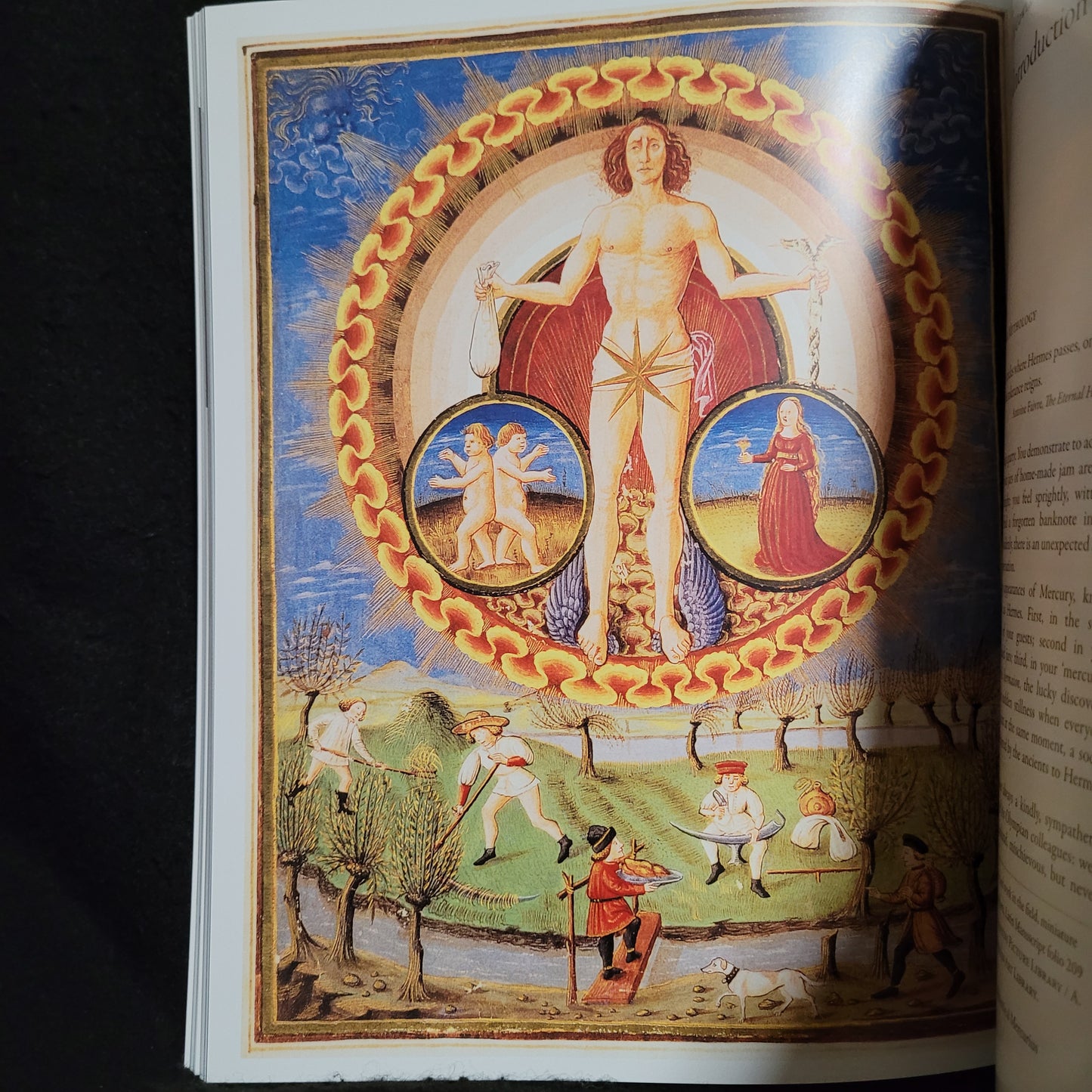 Abraxas International Journal of Esoteric Studies #4 (Fulgur Esoterica, 2013) Paperback