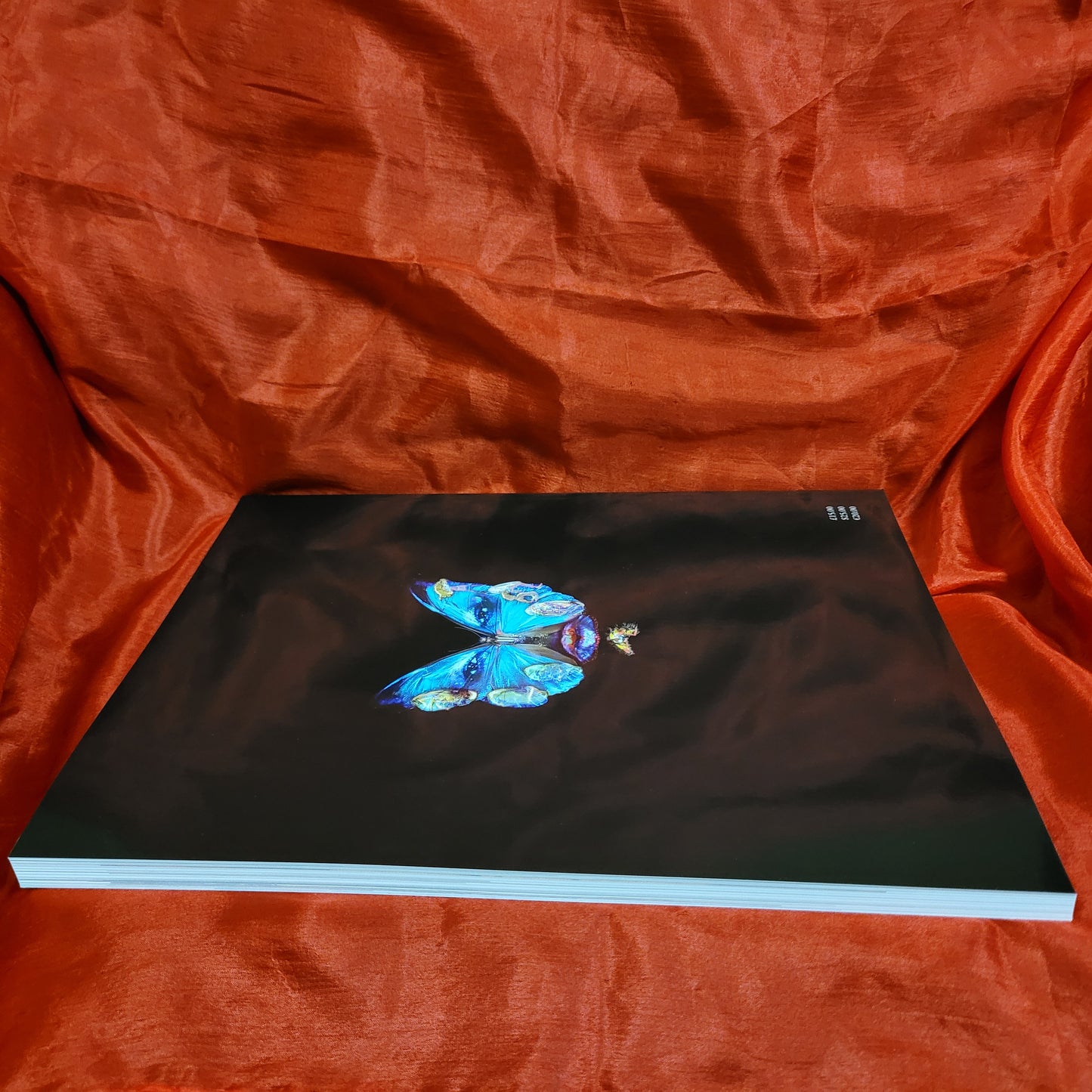 Abraxas: International Journal of Esoteric Studies, Issue Six (Fulgur Esoterica, 2014) Paperback