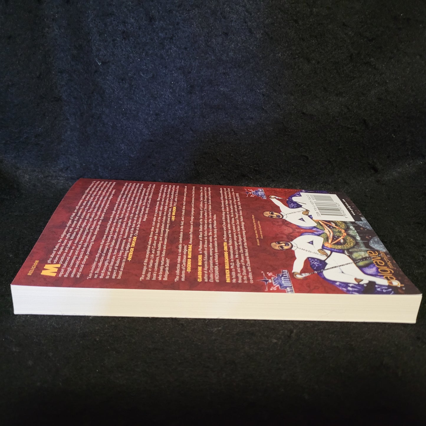 Invisible Powers: Voudou in Haitian Life and Culture edited by Claudine Michel and Patrick Bellegarde-Smith (Palgrave Macmillan, 2006) Paperback