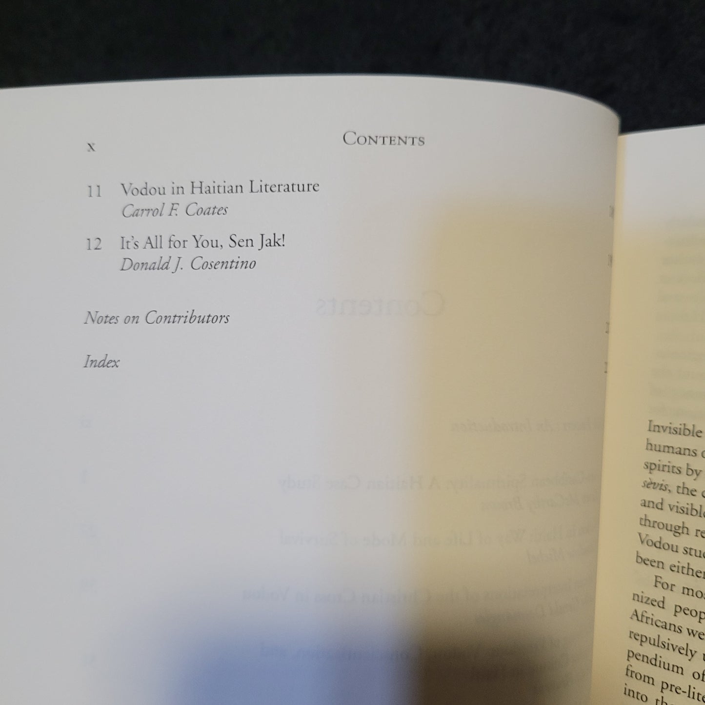 Invisible Powers: Voudou in Haitian Life and Culture edited by Claudine Michel and Patrick Bellegarde-Smith (Palgrave Macmillan, 2006) Paperback
