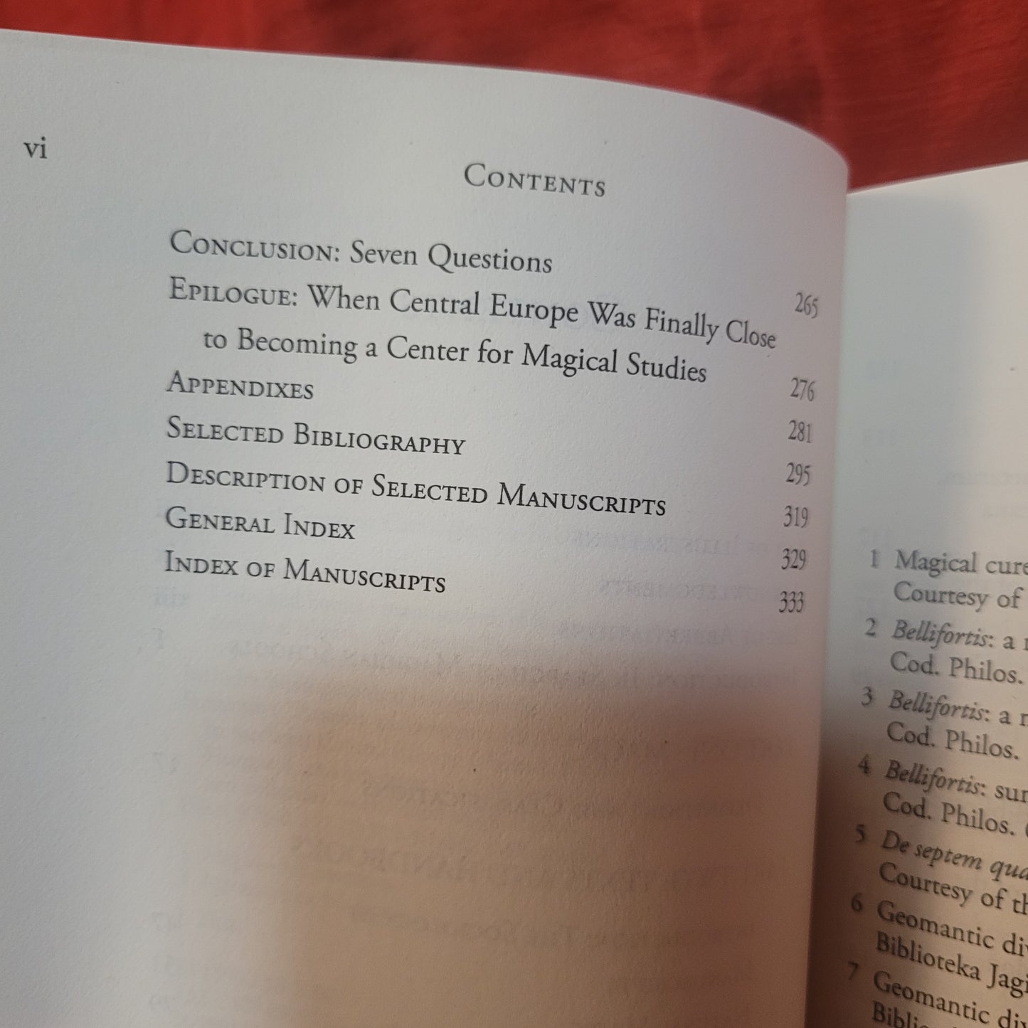 Unlocked Books: Manuscripts of Learned Magic in the Medieval Libraries of Central Europe, Magic in History Series by Benedek Láng (The Pennsylvania State University Press, 2008) Paperback