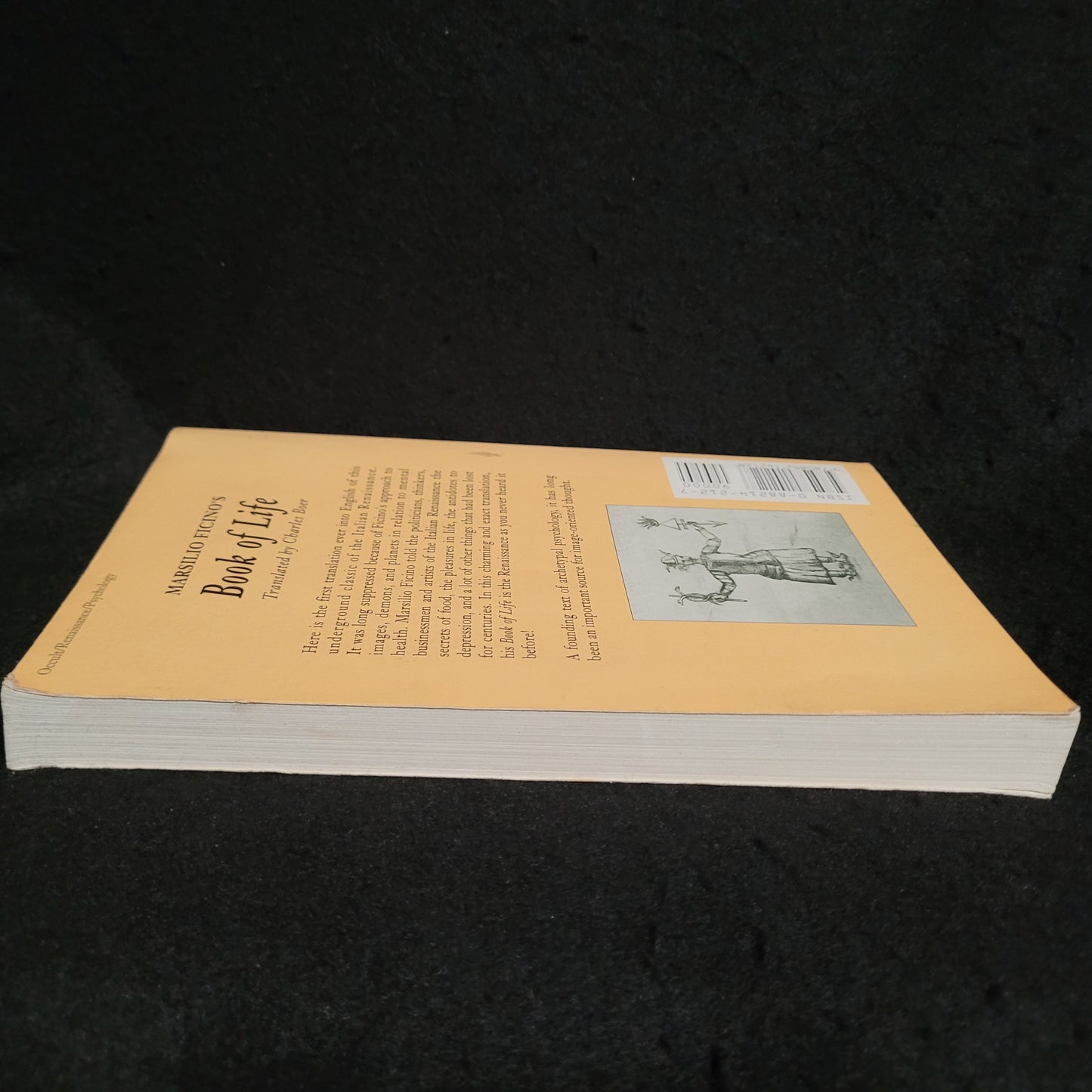 Marsilio Ficino's Book of Life Translated and with a New Introduction by Charles Boer (Spring Publications, 1996) Paperback
