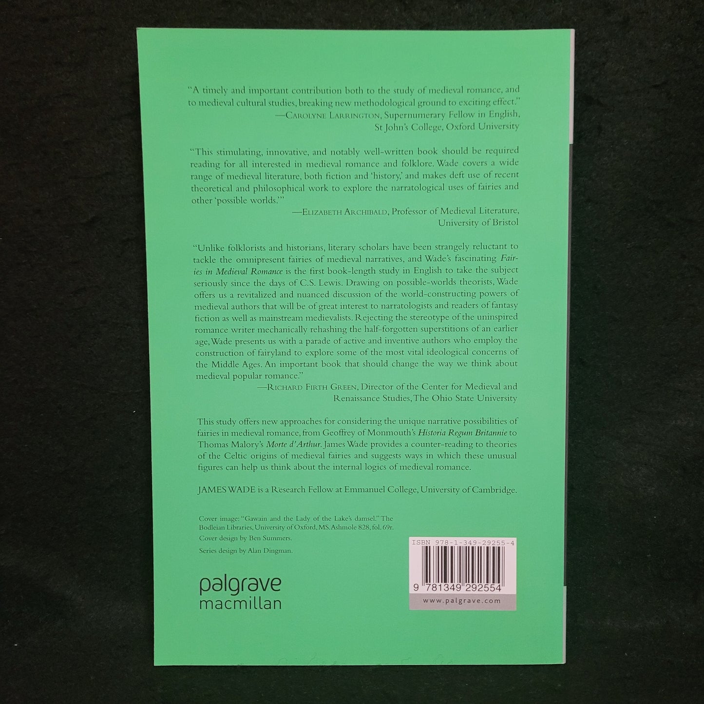 Fairies in Medieval Romance by James Wade (Palgrave Macmillan, 2011) Paperback Edition