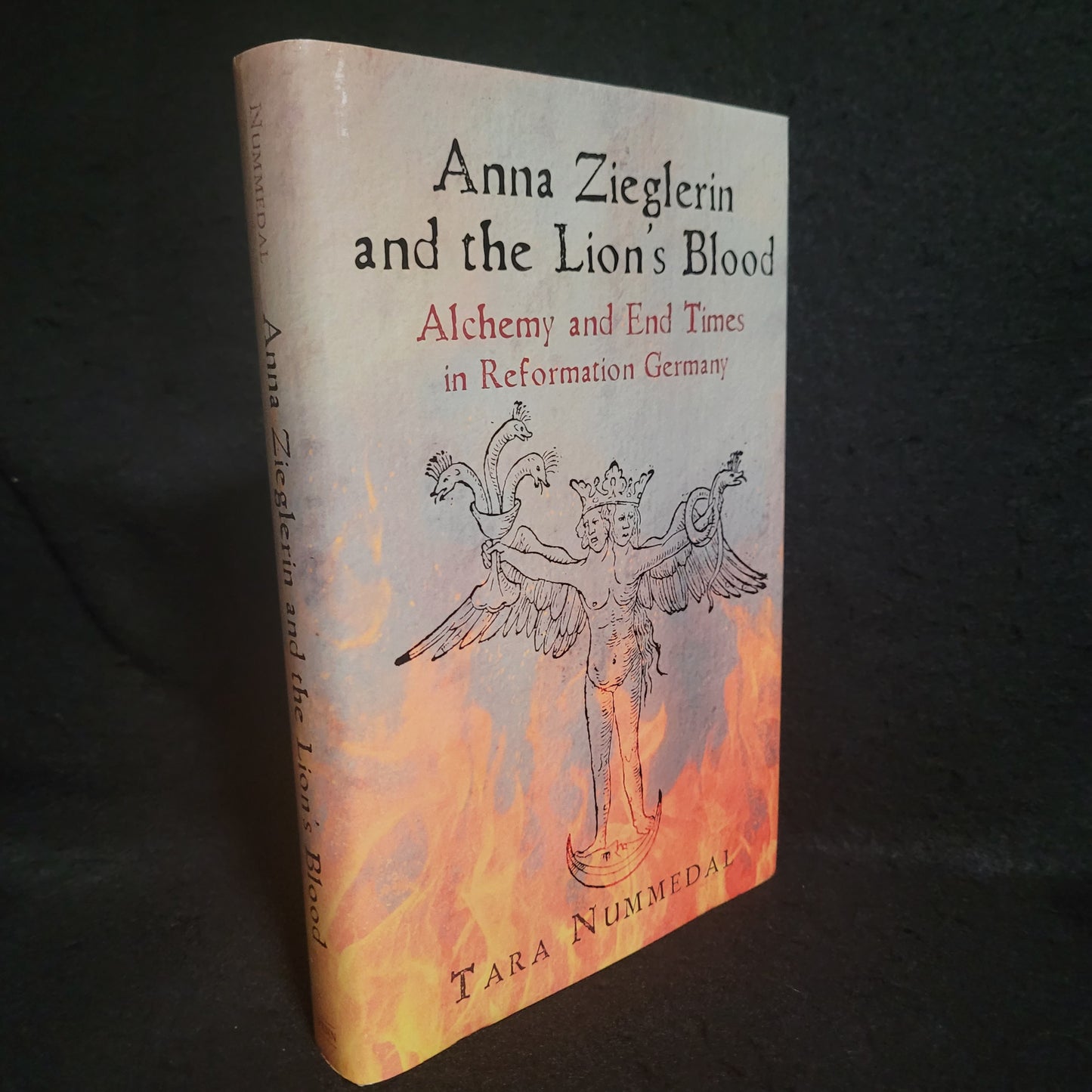 Anna Zieglerin and the Lion's Blood: Alchemy and End Times in Reformation Germany by Tara Nummedal (University of Pennsylvania Press, 2019) Hardcover