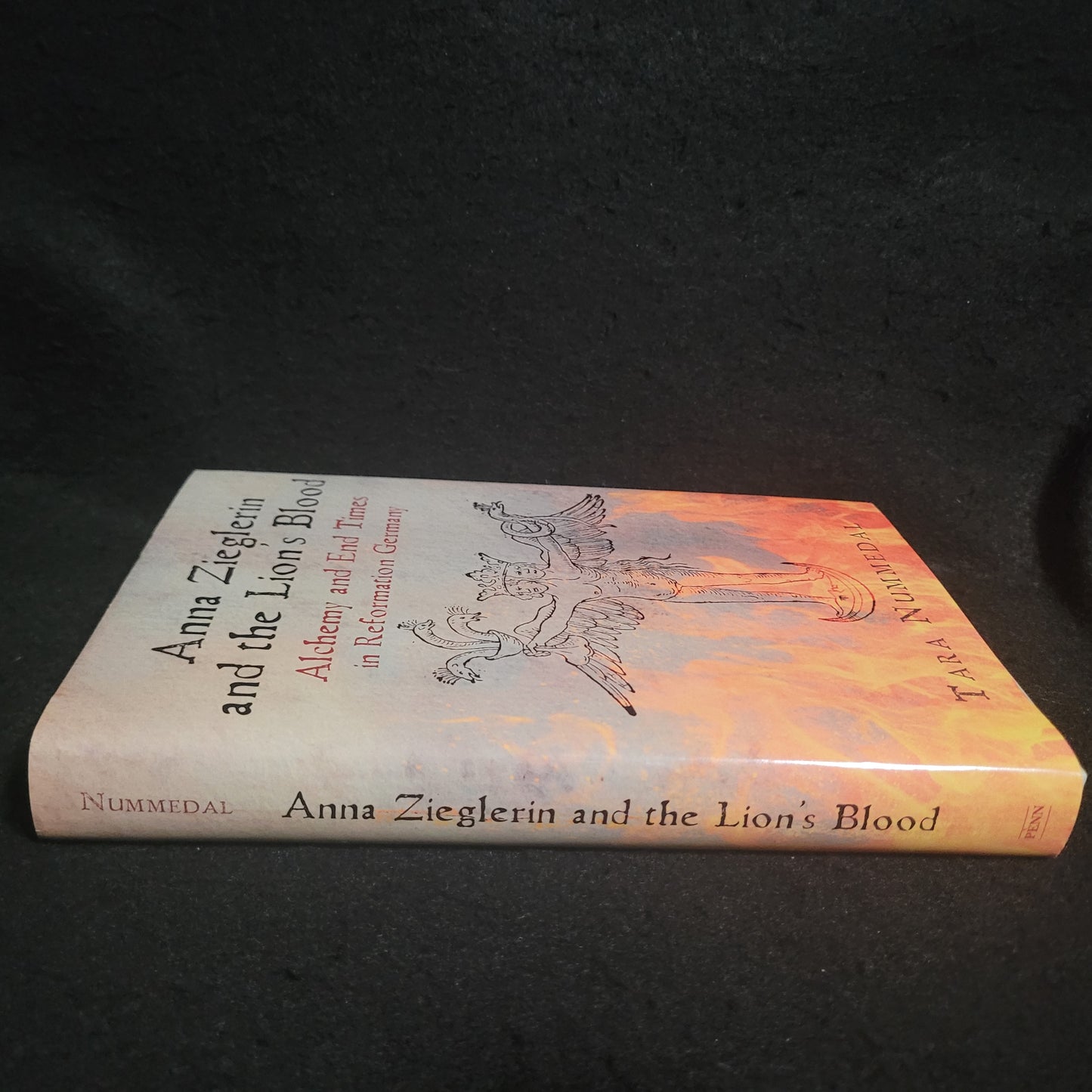 Anna Zieglerin and the Lion's Blood: Alchemy and End Times in Reformation Germany by Tara Nummedal (University of Pennsylvania Press, 2019) Hardcover