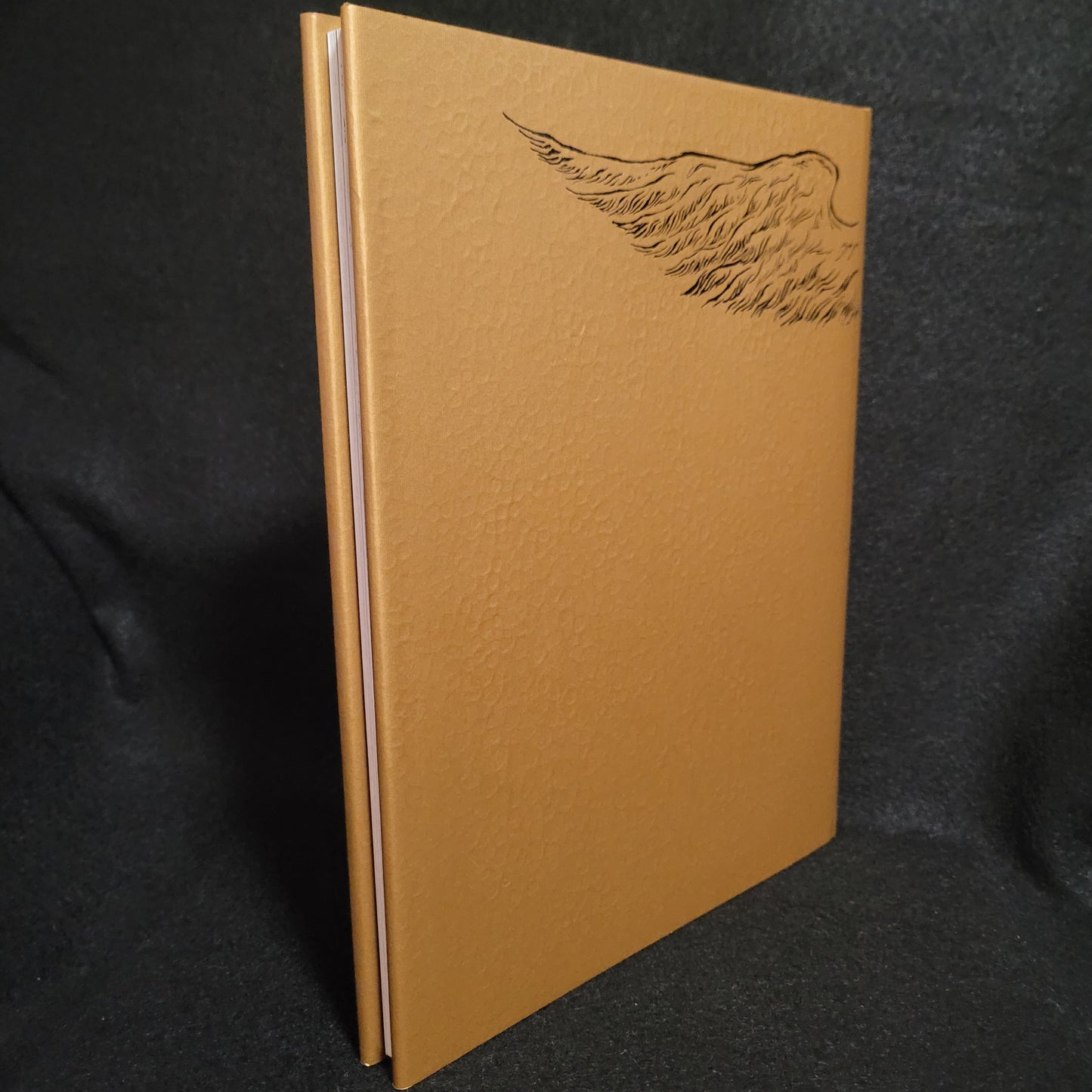 Coagula: A Graphic Grimmoire by Oryelle Defenestrate Bascule Second Volume in the Tela Quadrivium Series (Fulgur Limited, 2011) Hardcover