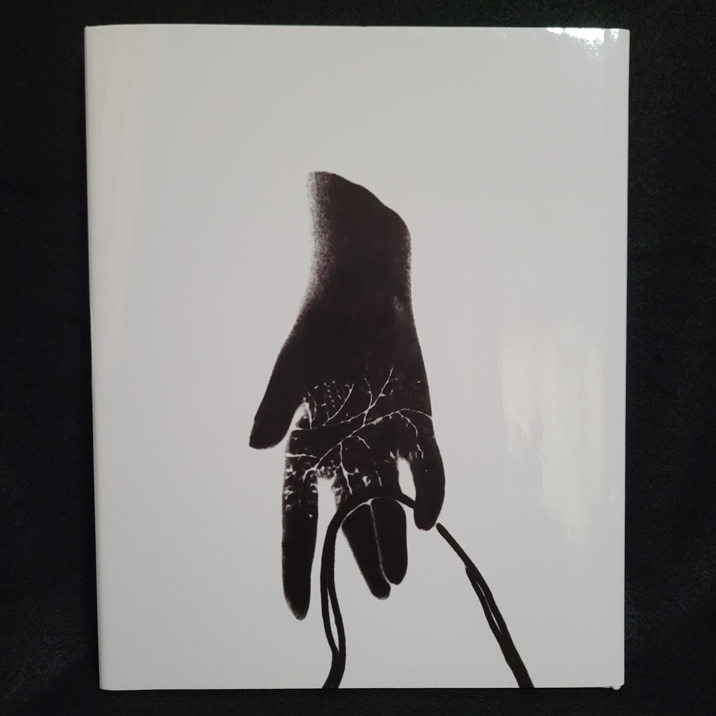 Abraxas International Journal of Esoteric Studies Special Issue No. 1: Charming Intentions: Occultism, Magic and the History of Art, Summer 2013 Edited by Daniel Zamani (Fulgur Esoterica, 2013) Hardcover Special Edition