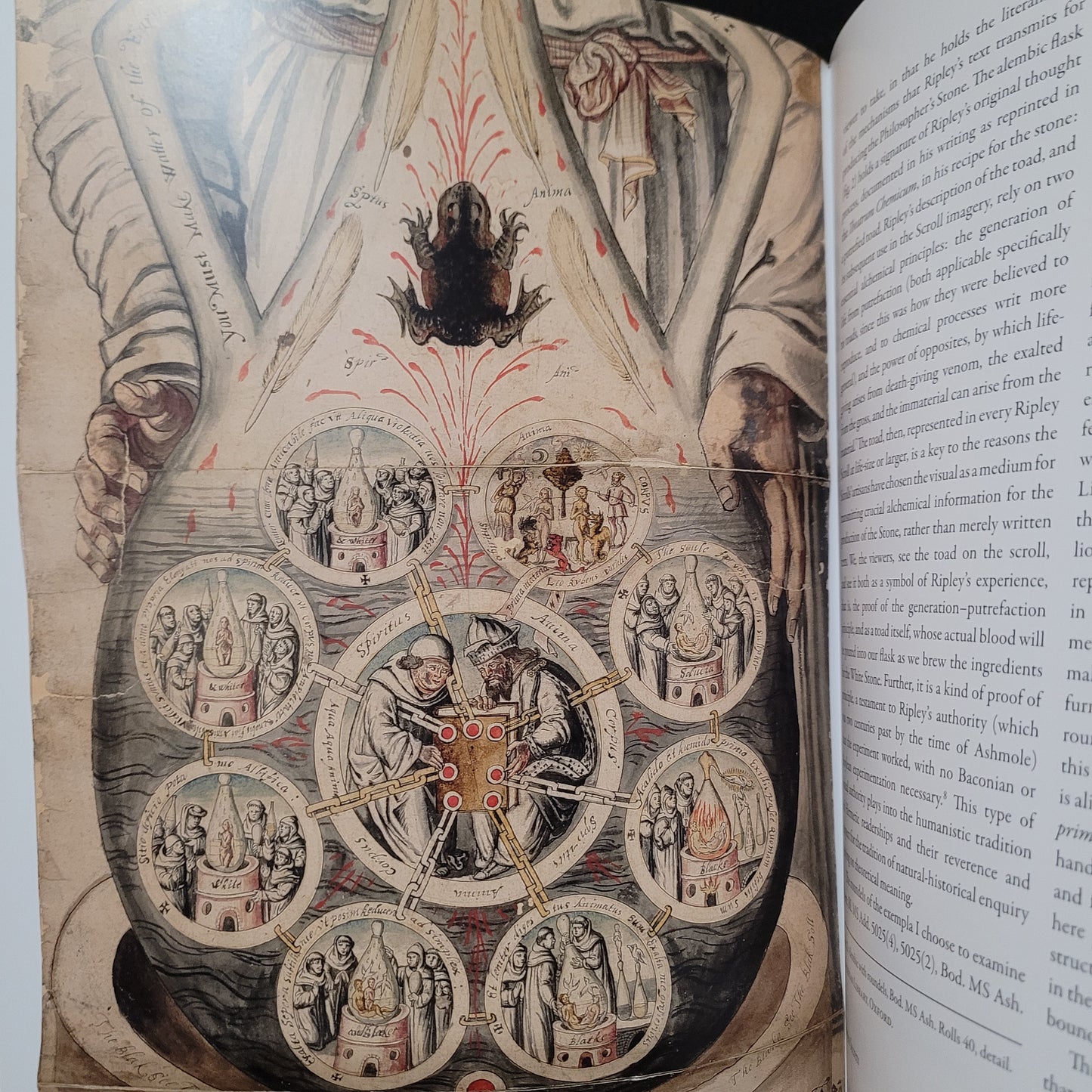 Abraxas International Journal of Esoteric Studies Special Issue No. 1: Charming Intentions: Occultism, Magic and the History of Art, Summer 2013 Edited by Daniel Zamani (Fulgur Esoterica, 2013) Hardcover Special Edition