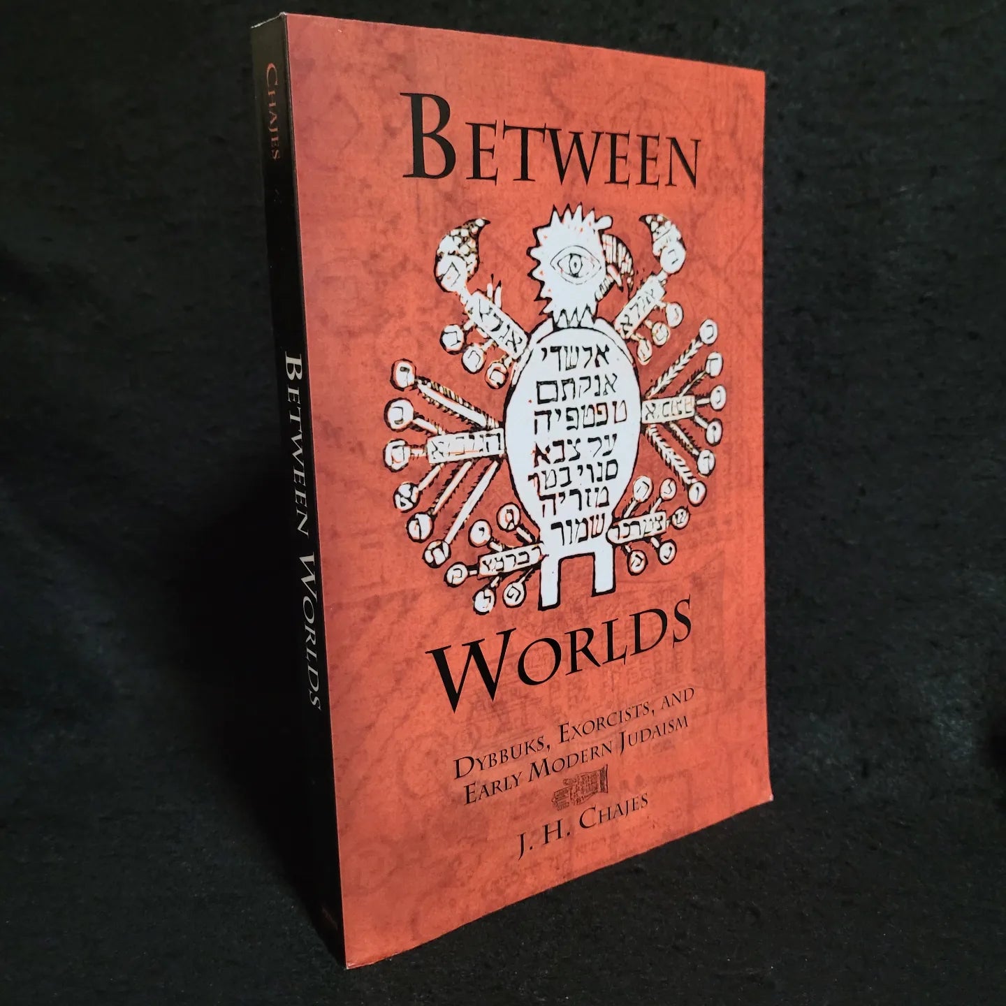 Between Worlds: Dybbuks, Exorcists, and Early Modern Judaism by J.H. Chajes (University of Pennsylvania Press, 2003) Paperback