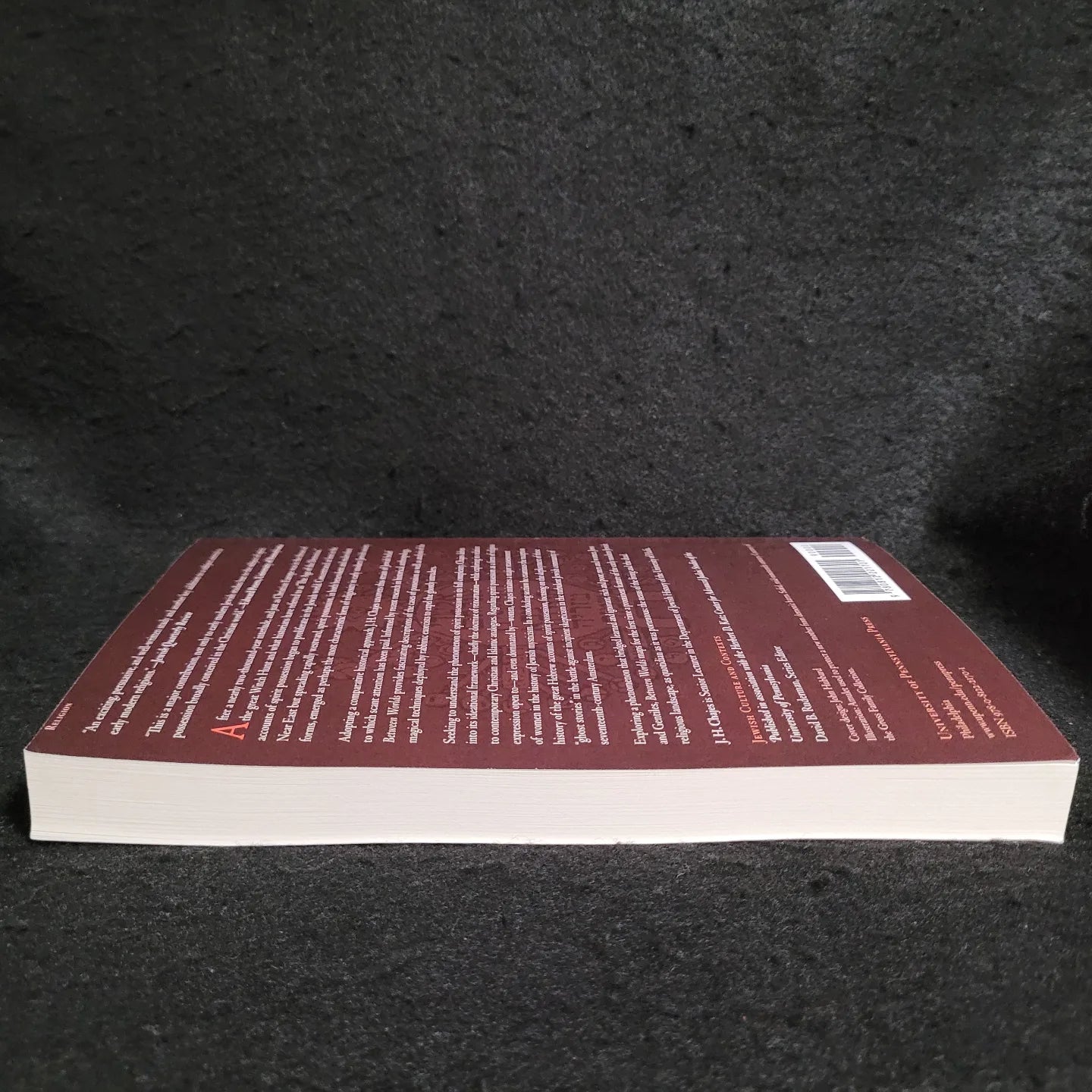 Between Worlds: Dybbuks, Exorcists, and Early Modern Judaism by J.H. Chajes (University of Pennsylvania Press, 2003) Paperback