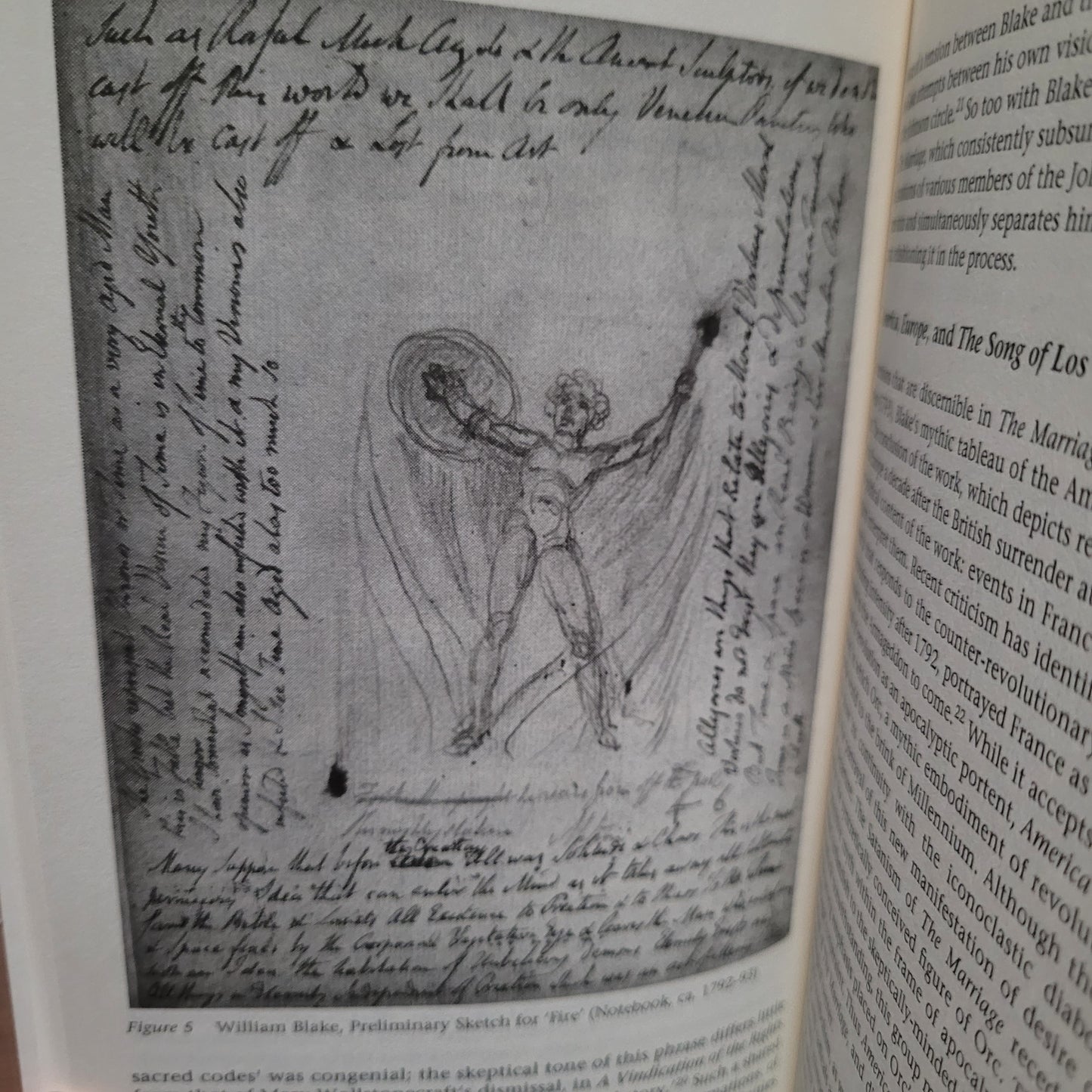 Romantic Satanism: Myth and the Historical Moment in Blake, Shelley, and Byron by Peter A. Schock (Palgrave Macmillan, 2003) Hardcover Edition