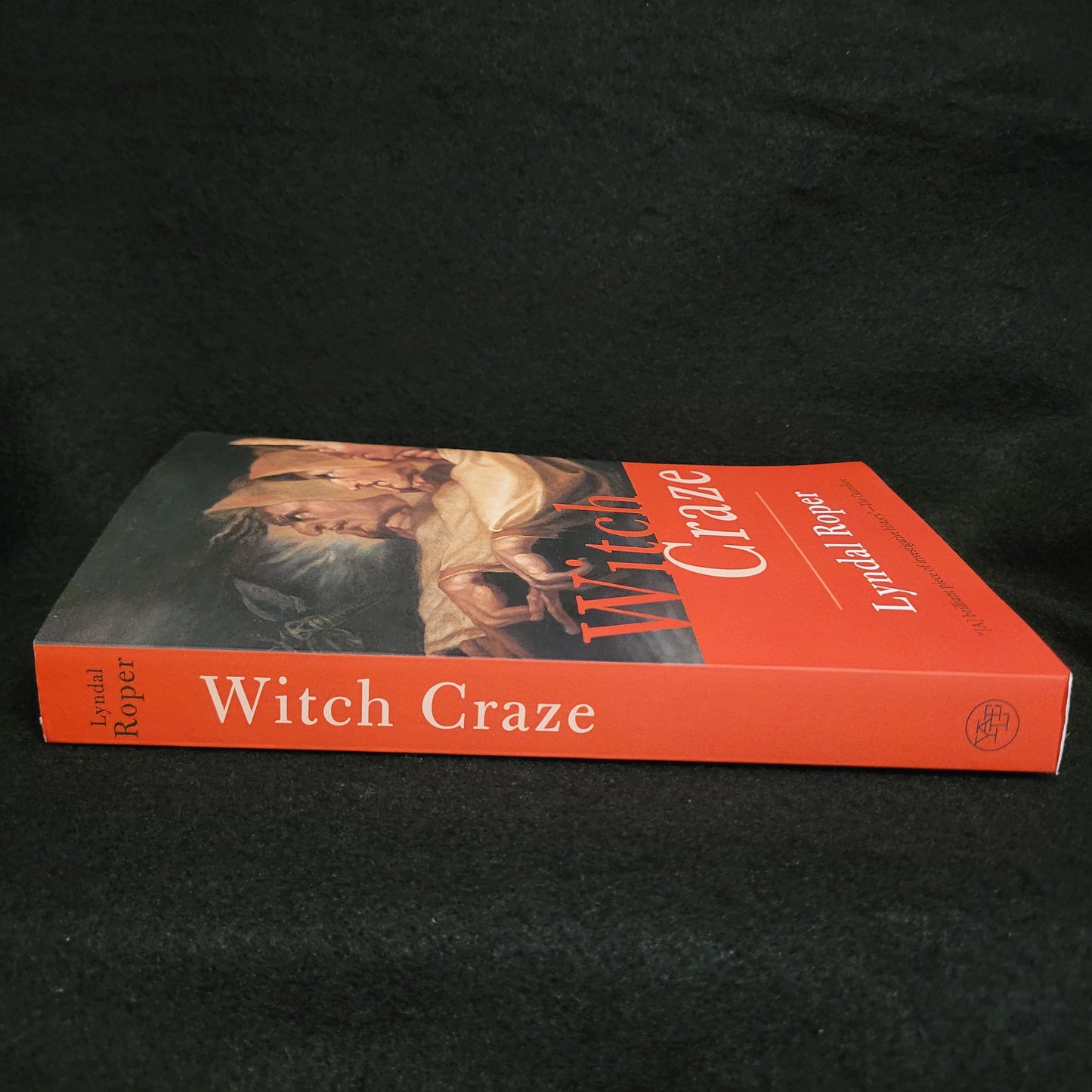 Witch Craze: Terror and Fantasy in Baroque Germany by Lyndal Roper (Yale University Press, 2004) Paperback