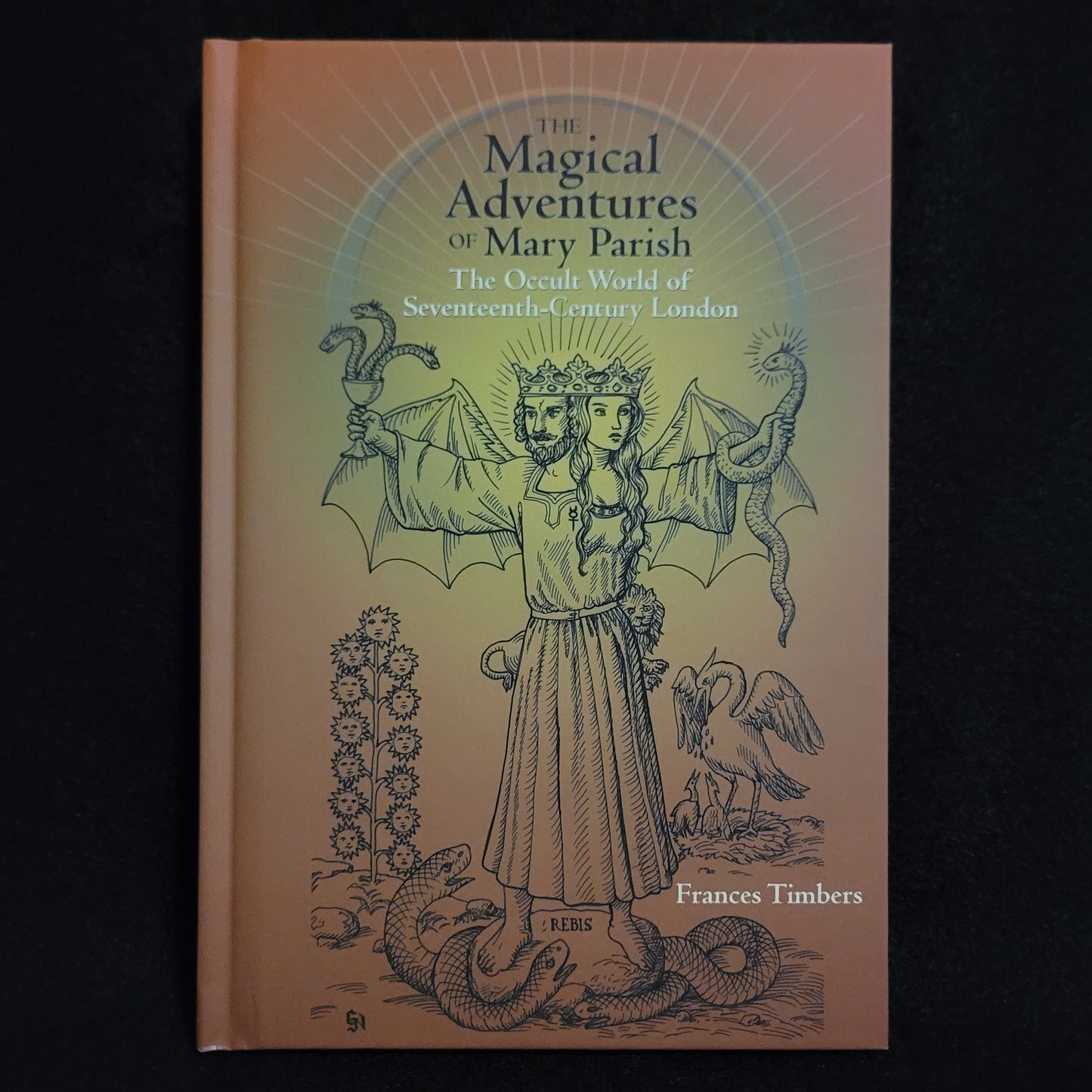 The Magical Adventures of Mary Parish: The Occult World of Seventeenth-Century London by Frances Timbers (Truman State University Press, 2016) Hardcover