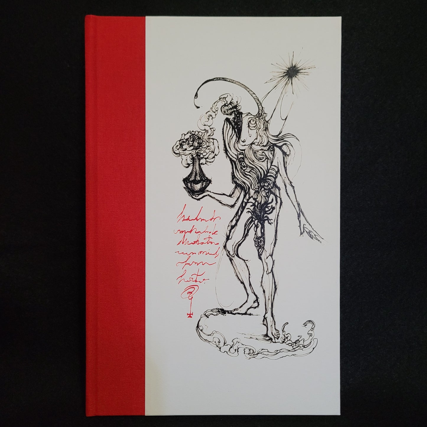 The Conjuring and Other Stories by Liam Garriock With Art by Luciana Lupe Vasconcelos (Mount Abraxas Press, 2021) Limited Edition Hardcover