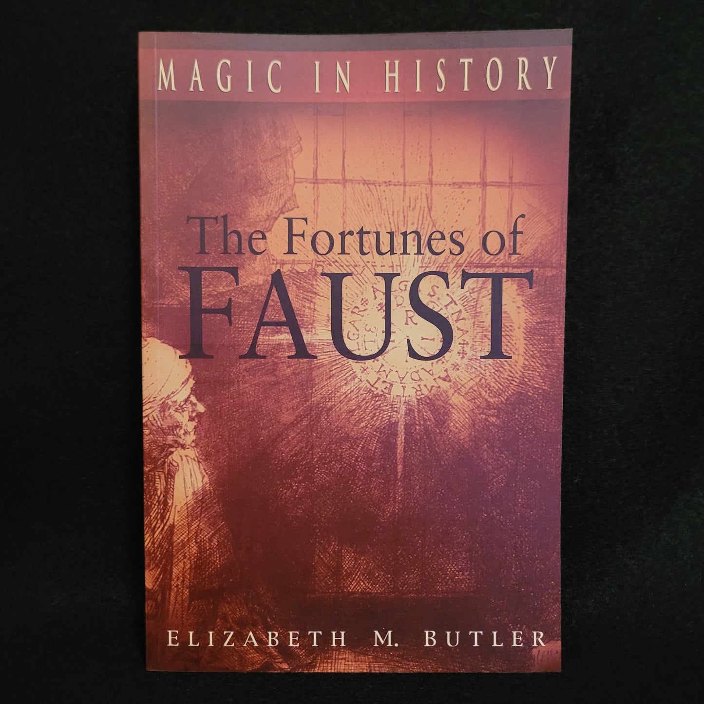 The Fortunes of Faust (Magic in History) by Elizabeth M. Butler (The Pennsylvania State University Press, 1998) Paperback