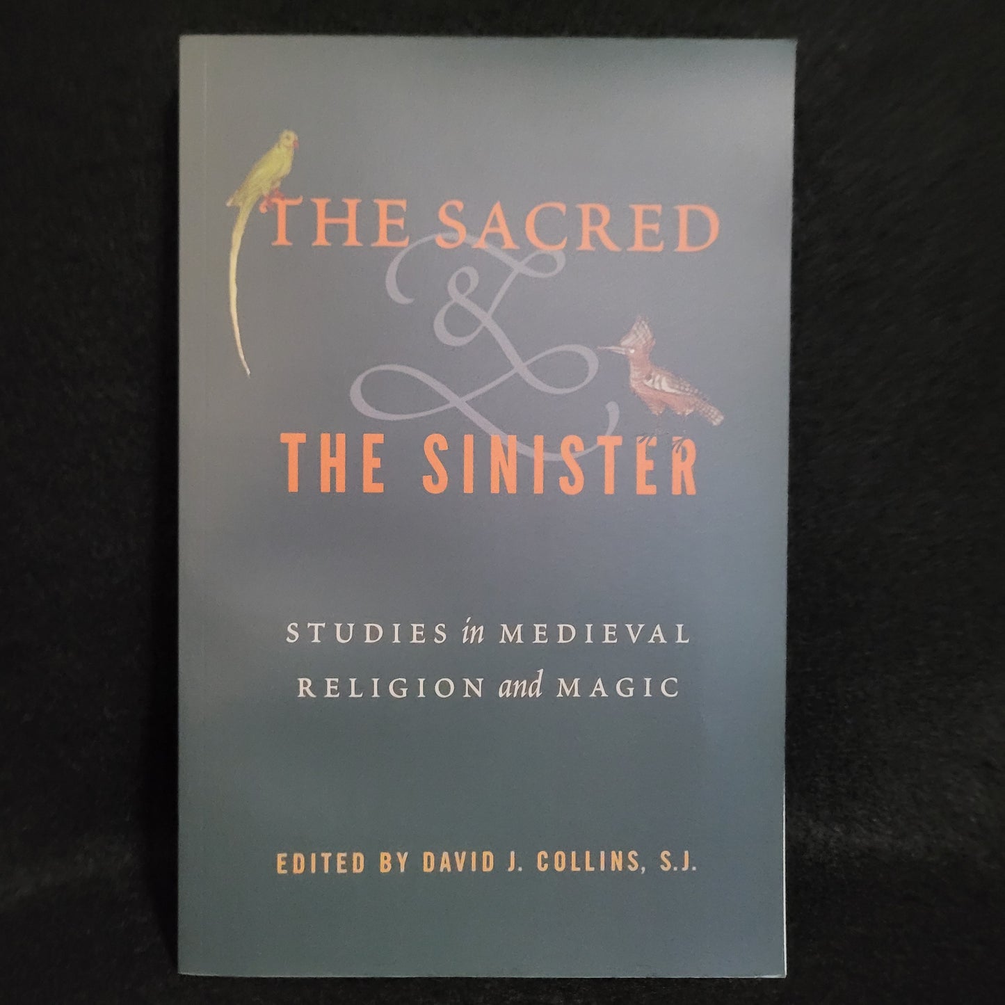 The Sacred & the Sinister: Studies in Medieval Religion and Magic edited by David J. Collins, S.J. (The Pennsylvania State University Press, 2019) Paperback