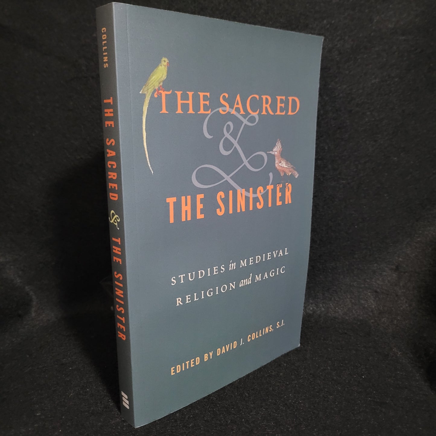 The Sacred & the Sinister: Studies in Medieval Religion and Magic edited by David J. Collins, S.J. (The Pennsylvania State University Press, 2019) Paperback