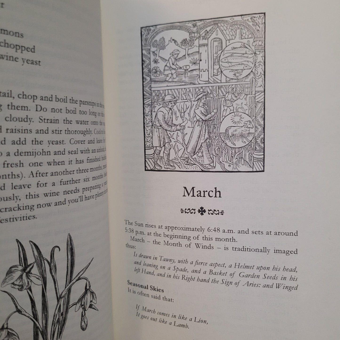 Walking the Tides: Seasonal Magical Rhythms and Lore by Nigel G. Pearson (Troy Books, 2017) Paperback Edition