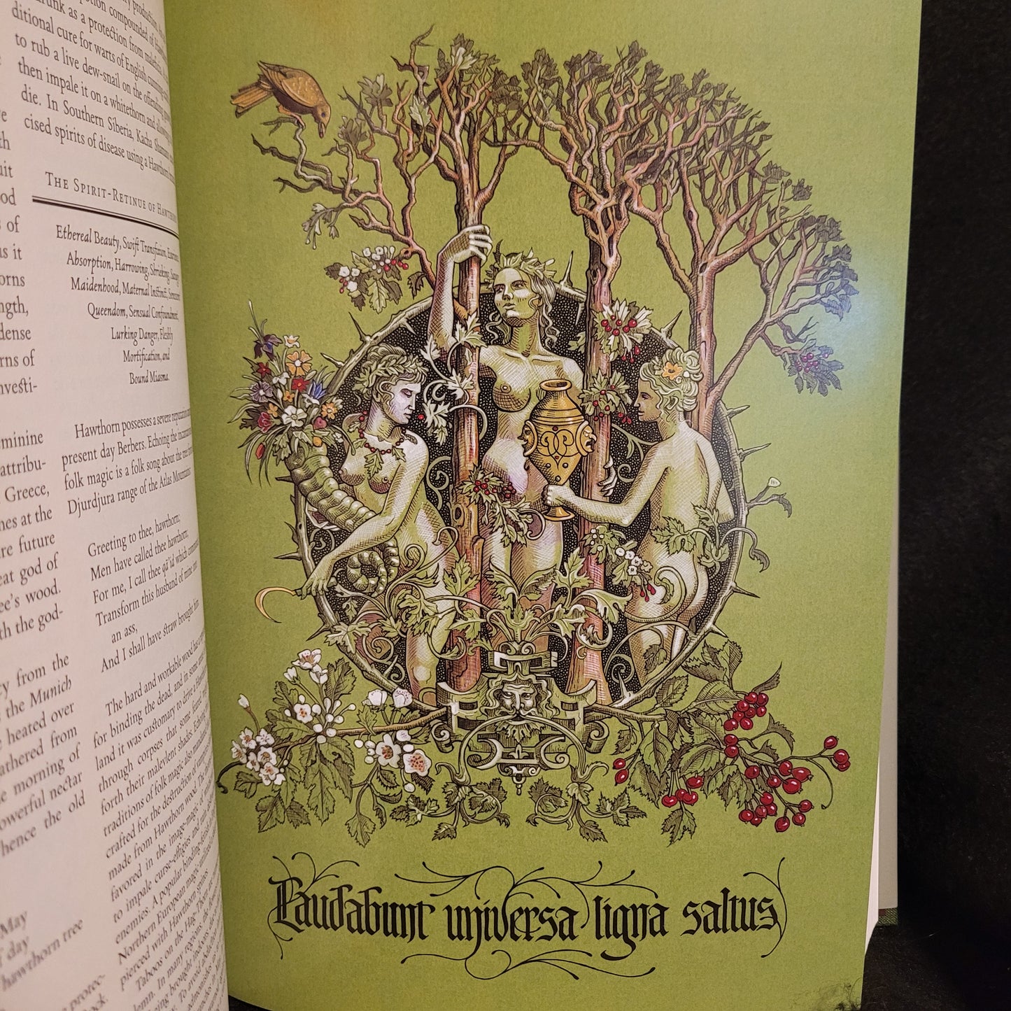 The Green Mysteries: An Occult Herbarium by Daniel Schulke with Illustrations by Benjamin Vierling (Three Hands Press, 2022) Hardcover Edition