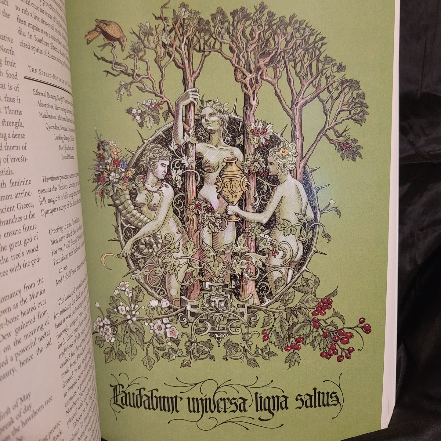 The Green Mysteries: An Occult Herbarium by Daniel A. Schulke with Illustrations by Benjamin A. Vierling (Three Hands Press, 2022) Paperback Edition