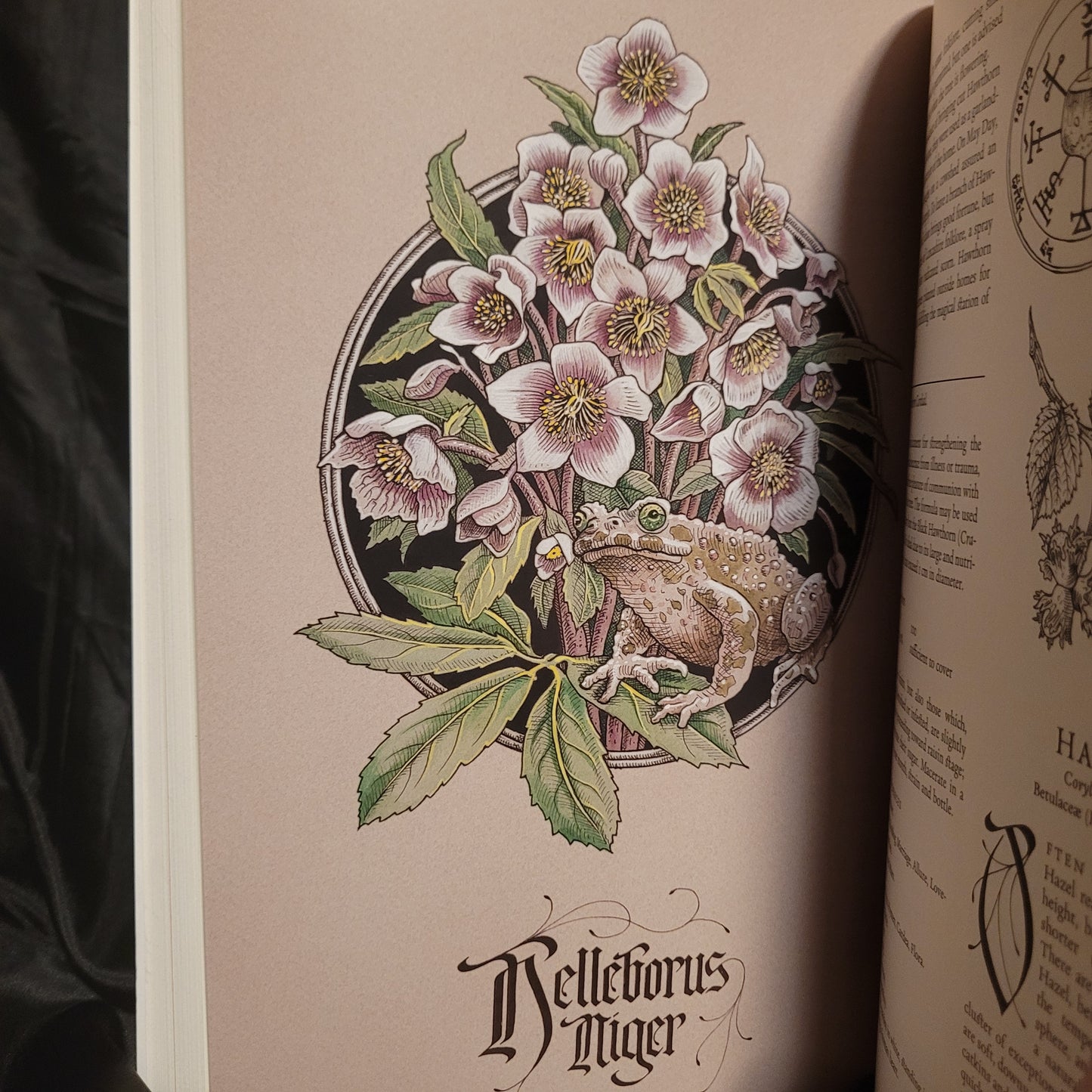 The Green Mysteries: An Occult Herbarium by Daniel A. Schulke with Illustrations by Benjamin A. Vierling (Three Hands Press, 2022) Paperback Edition