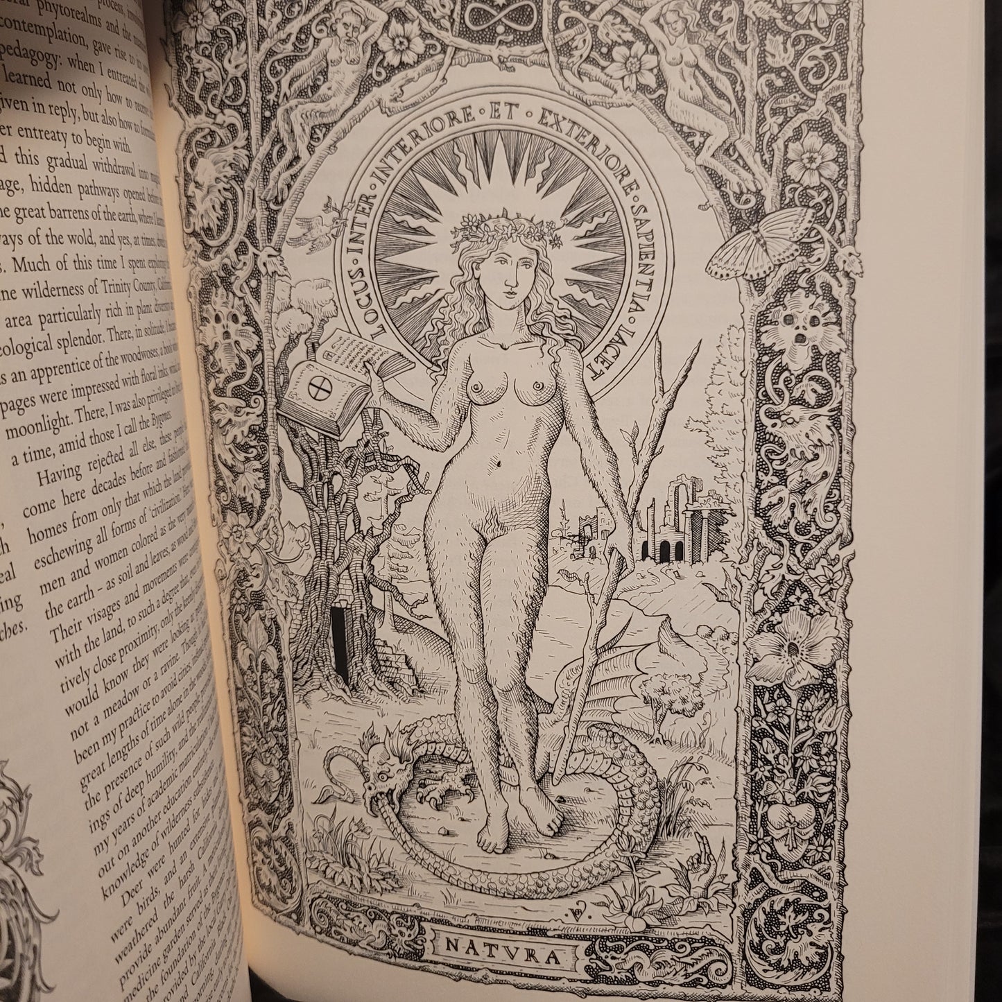 The Green Mysteries: An Occult Herbarium by Daniel A. Schulke with Illustrations by Benjamin A. Vierling (Three Hands Press, 2022) Paperback Edition