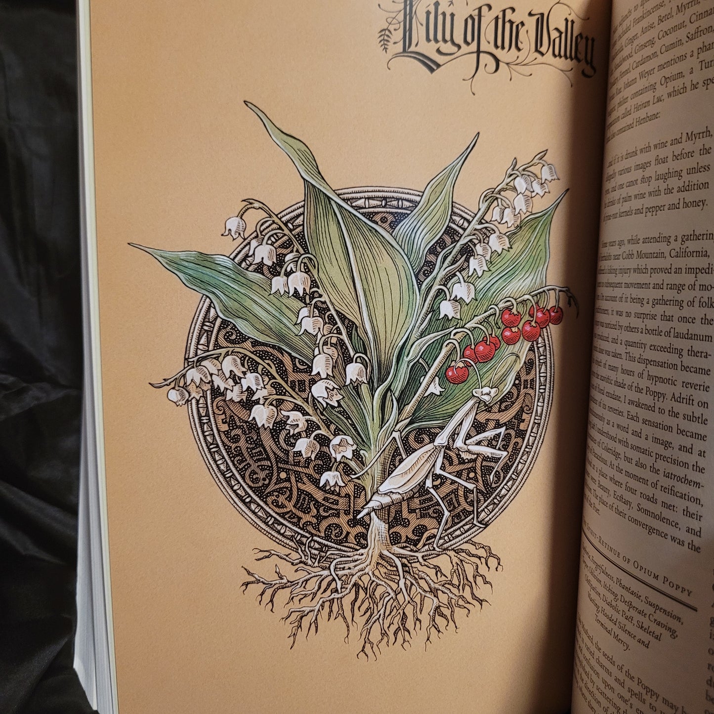 The Green Mysteries: An Occult Herbarium by Daniel A. Schulke with Illustrations by Benjamin A. Vierling (Three Hands Press, 2022) Paperback Edition