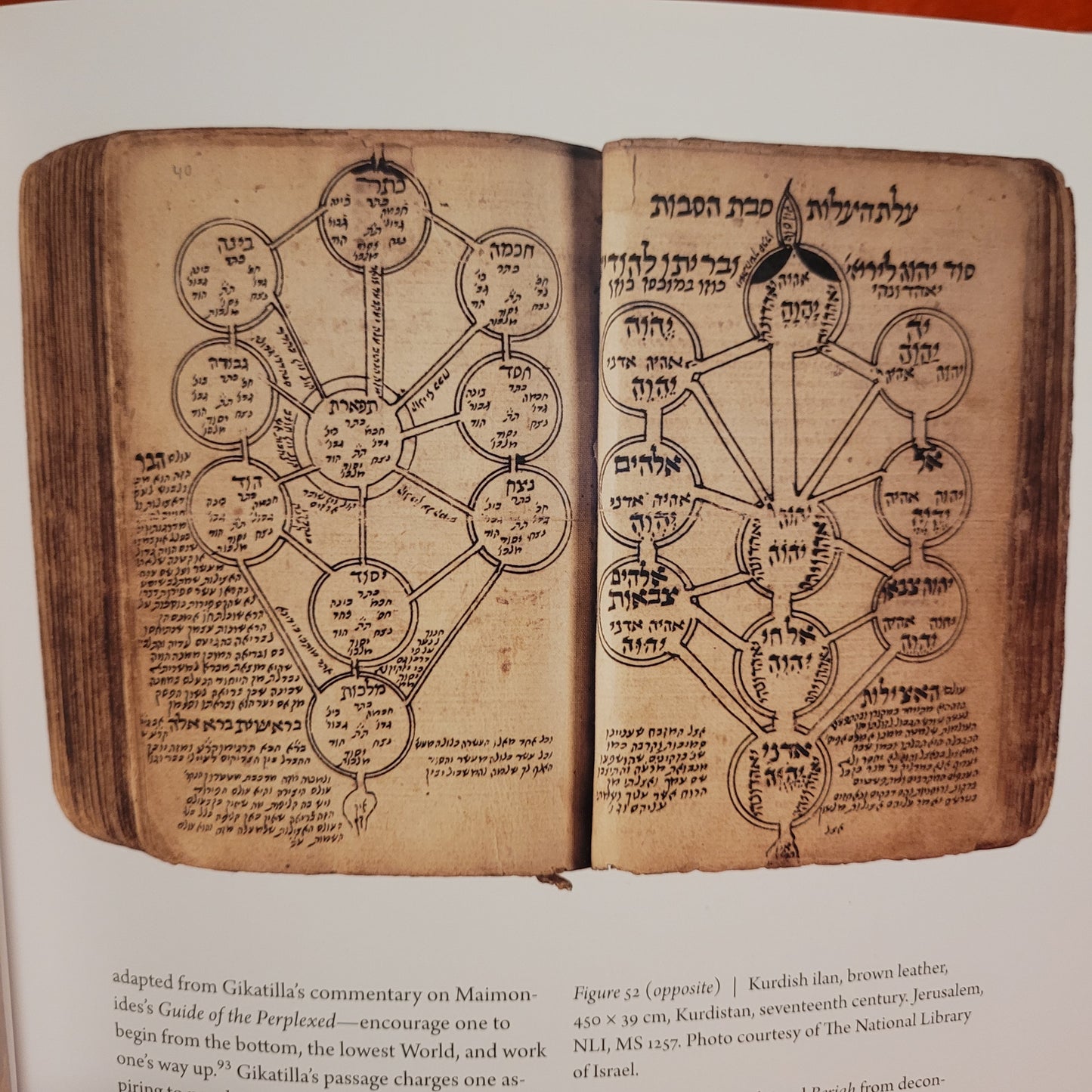 The Kabbalistic Tree / האילן הקבלי by J.H. Chajes (The Pennsylvania State University Press, 2022) Hardcover