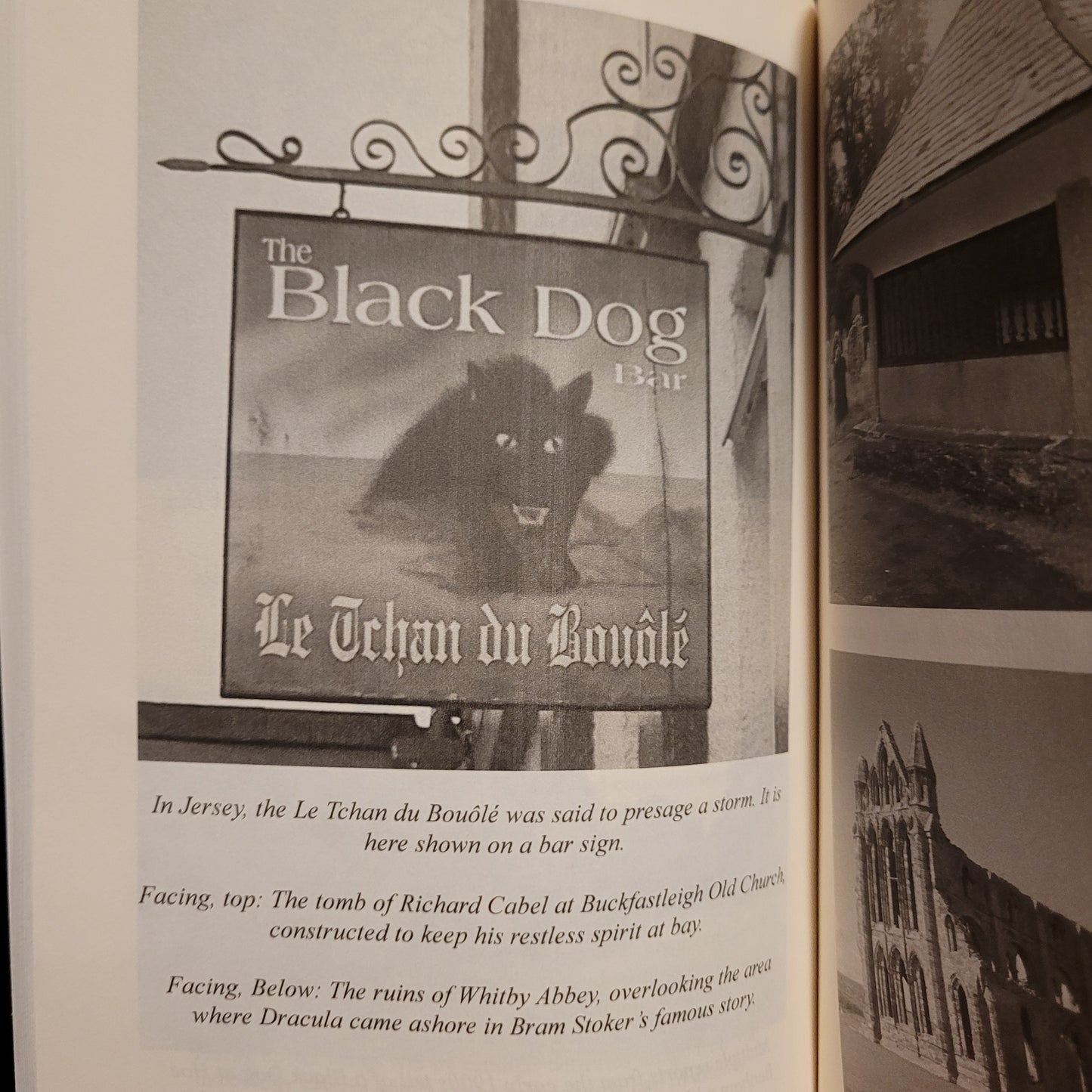 Black Dog Folklore by Mark Norman (Troy Books, 2016) Paperback Edition