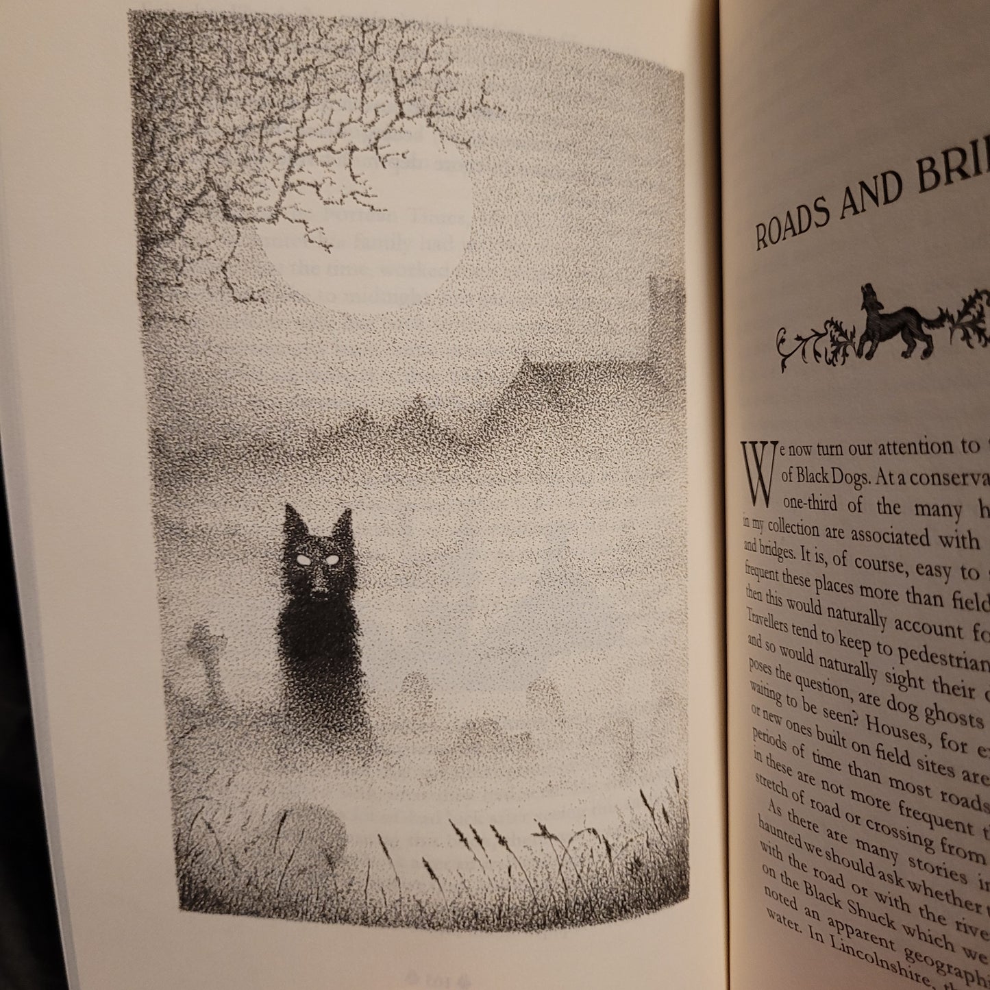 Black Dog Folklore by Mark Norman (Troy Books, 2016) Paperback Edition