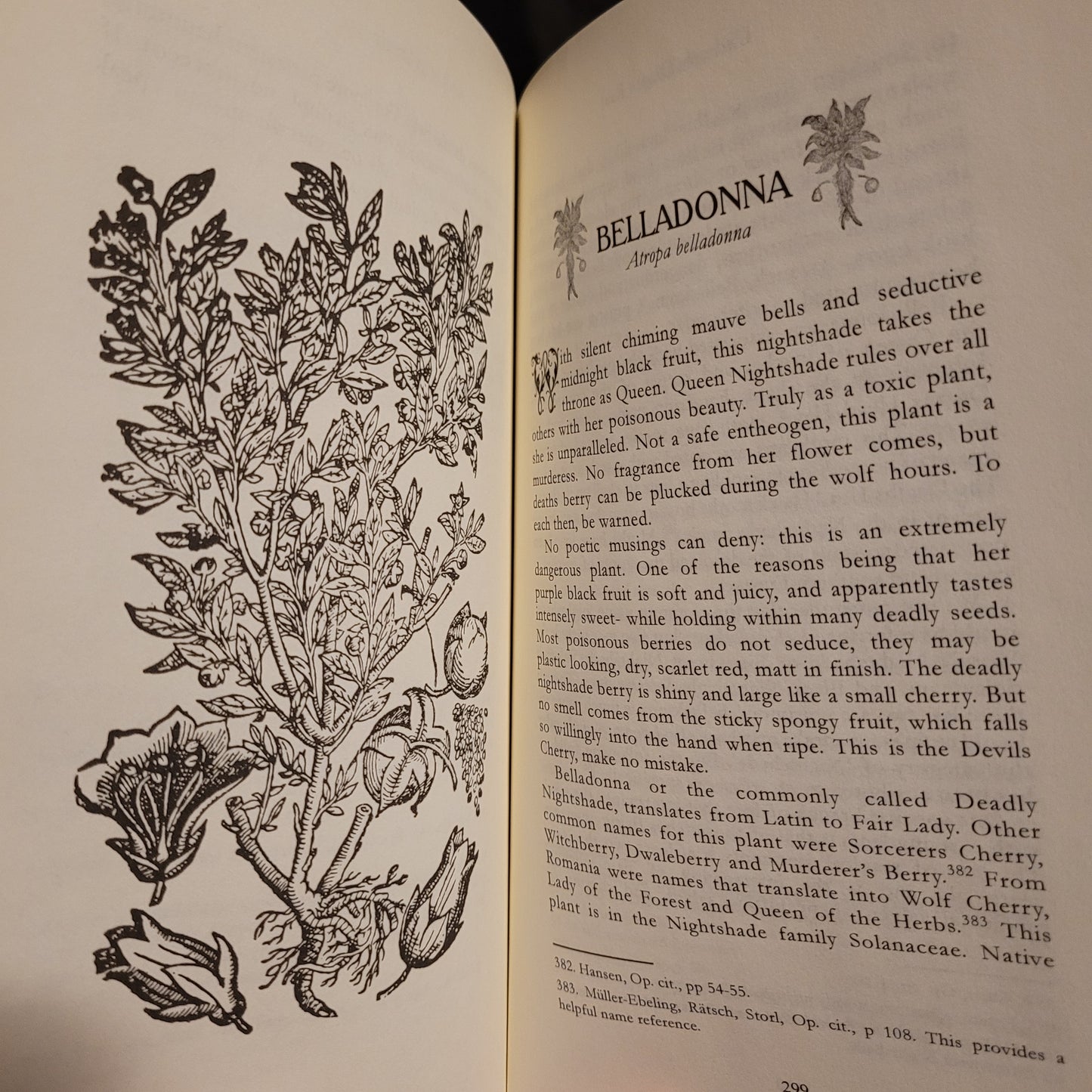 Under the Dragon Root: A Folk Grimoire of Occult Plant Lore & Practicum by Corinne Boyer (Troy Books, 2024) Paperback Edition