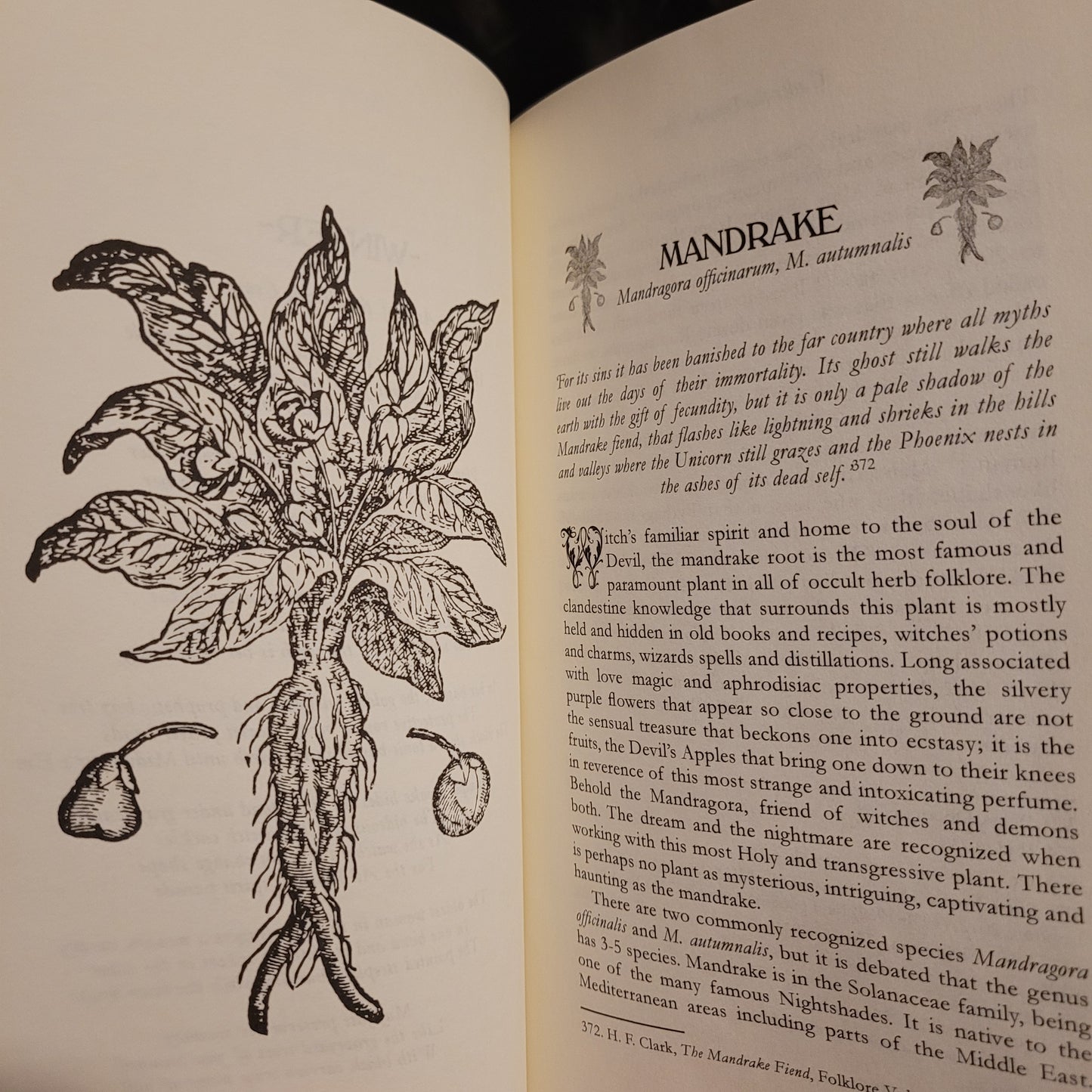 Under the Dragon Root: A Folk Grimoire of Occult Plant Lore & Practicum by Corinne Boyer (Troy Books, 2024) Paperback Edition