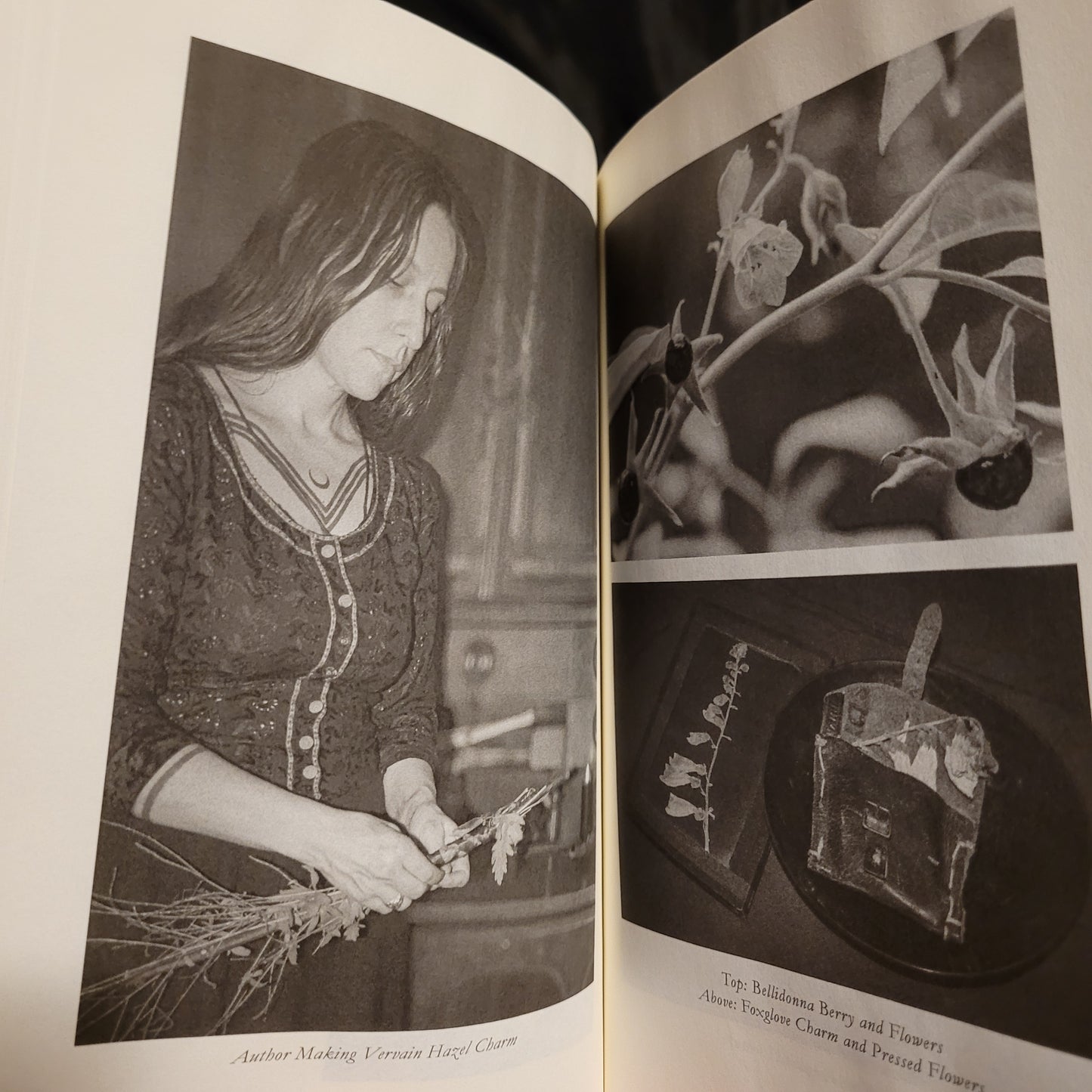 Under the Dragon Root: A Folk Grimoire of Occult Plant Lore & Practicum by Corinne Boyer (Troy Books, 2024) Paperback Edition