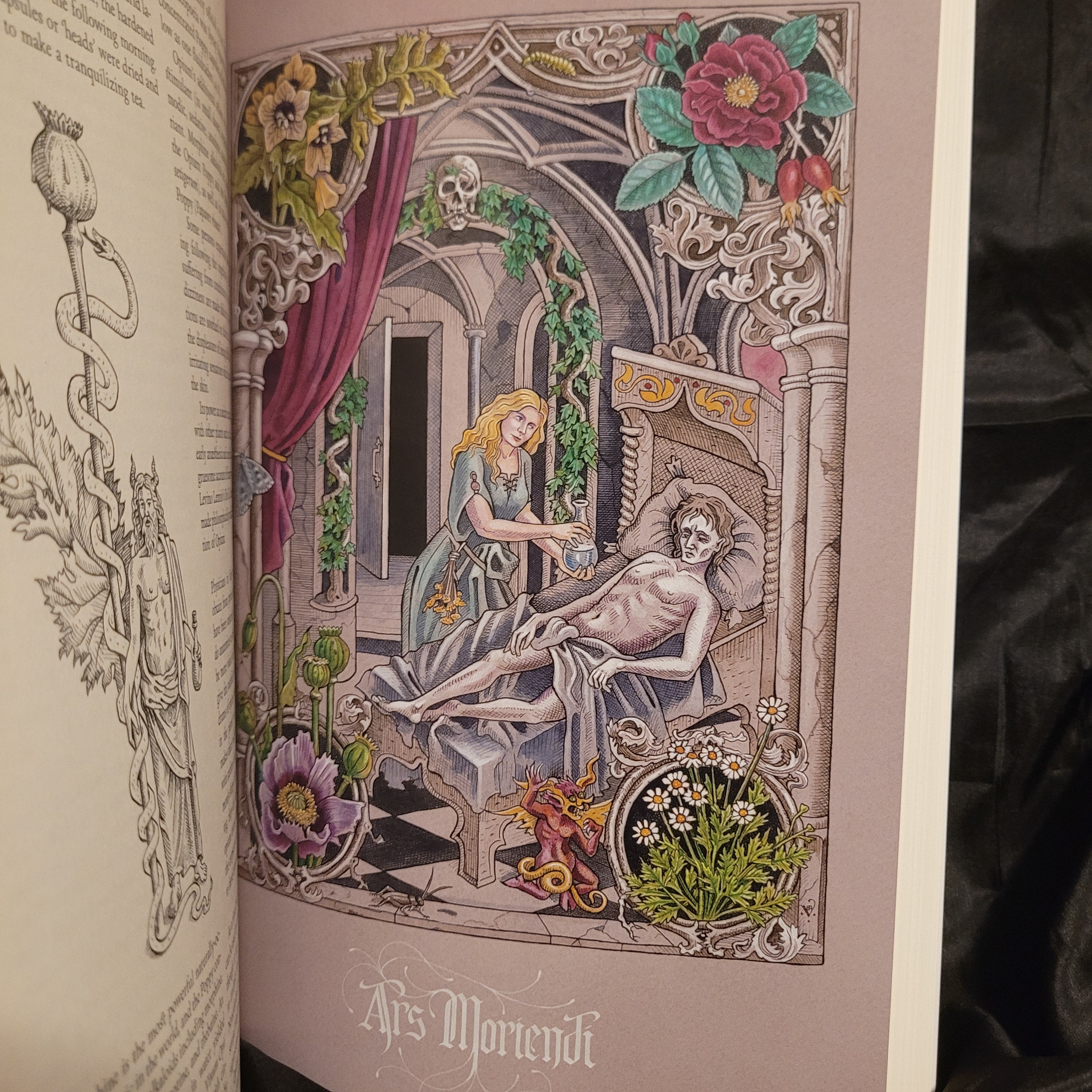 The Green Mysteries: An Occult Herbarium by Daniel A. Schulke with