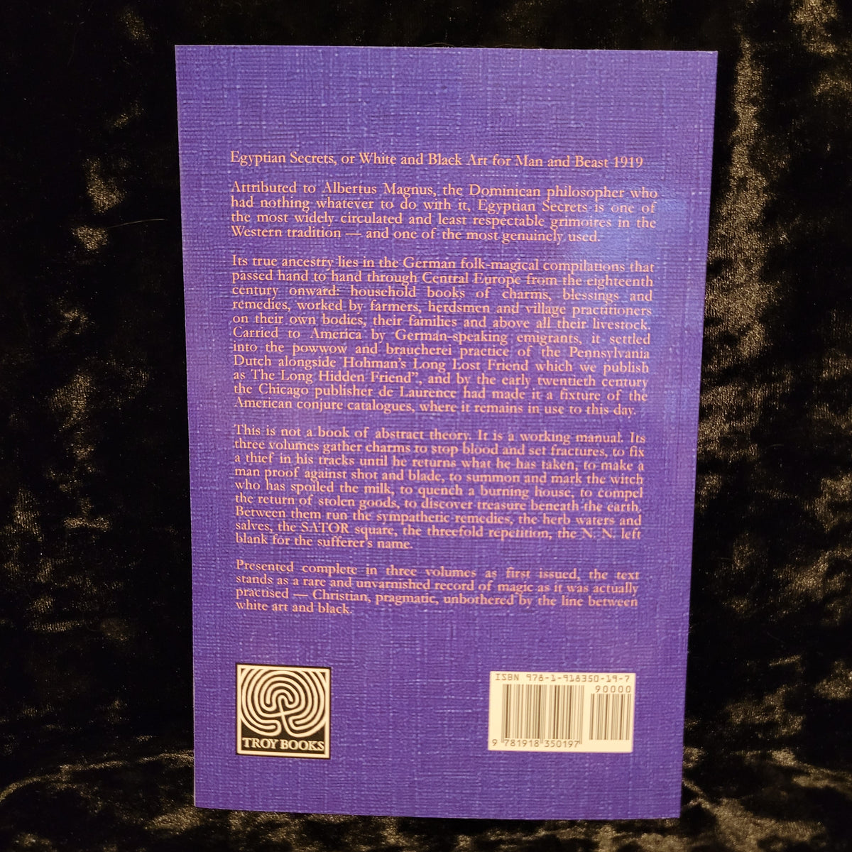 Egyptian Secrets of Albertus Magnus (Troy Books, 2026) Paperback