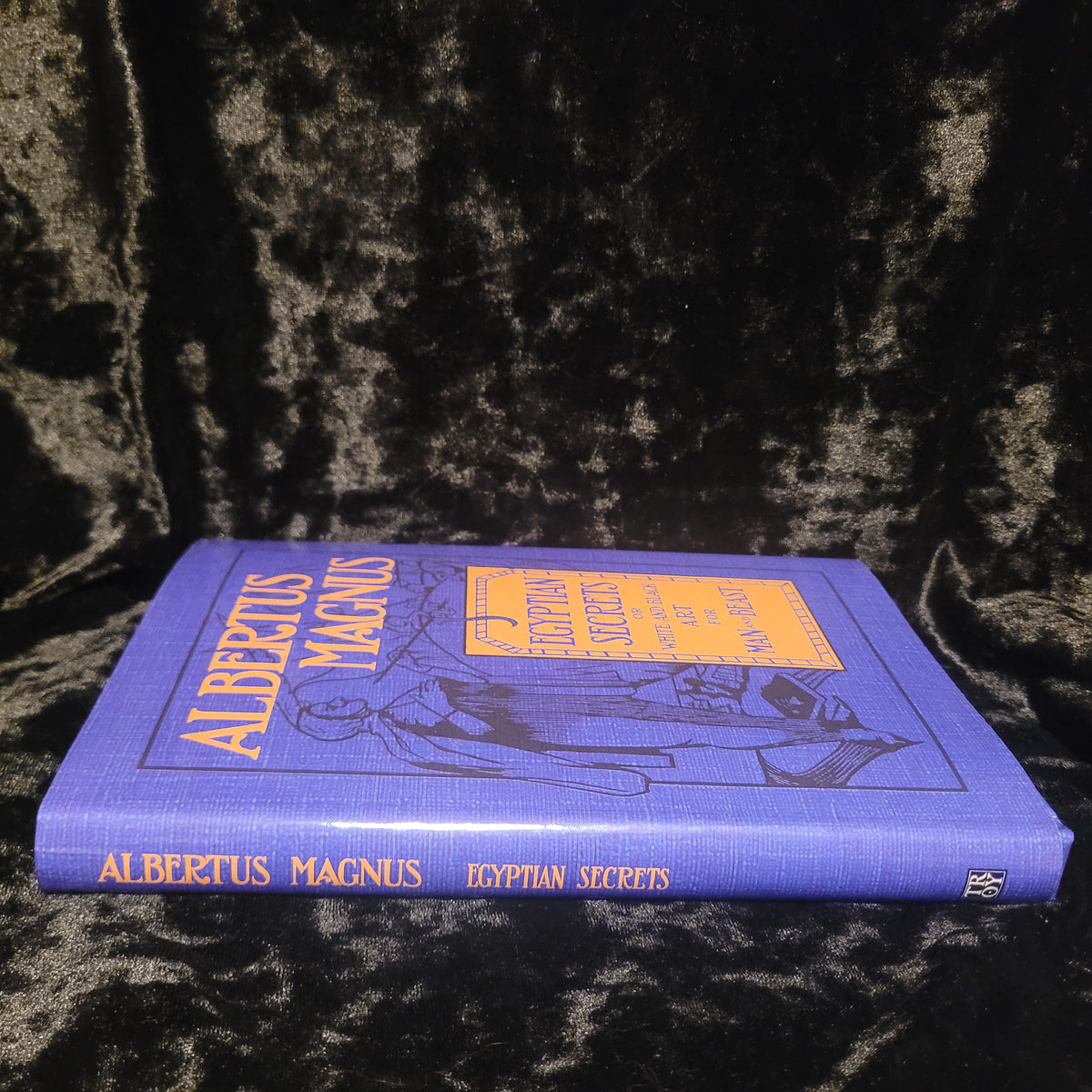 Egyptian Secrets of Albertus Magnus (Troy Books, 2026) Hardback