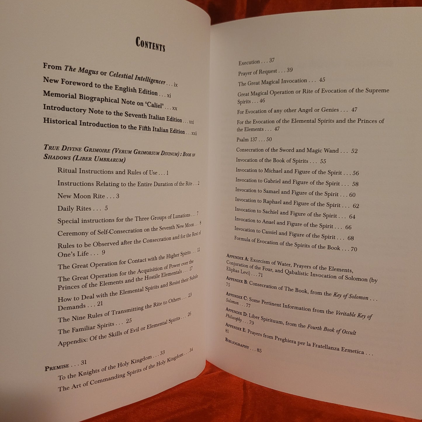 Liber Umbrarum: Book of Shadows by Pier Luca Pierini translated by Steve Savedow (Hadean Press,2024) Paperback
