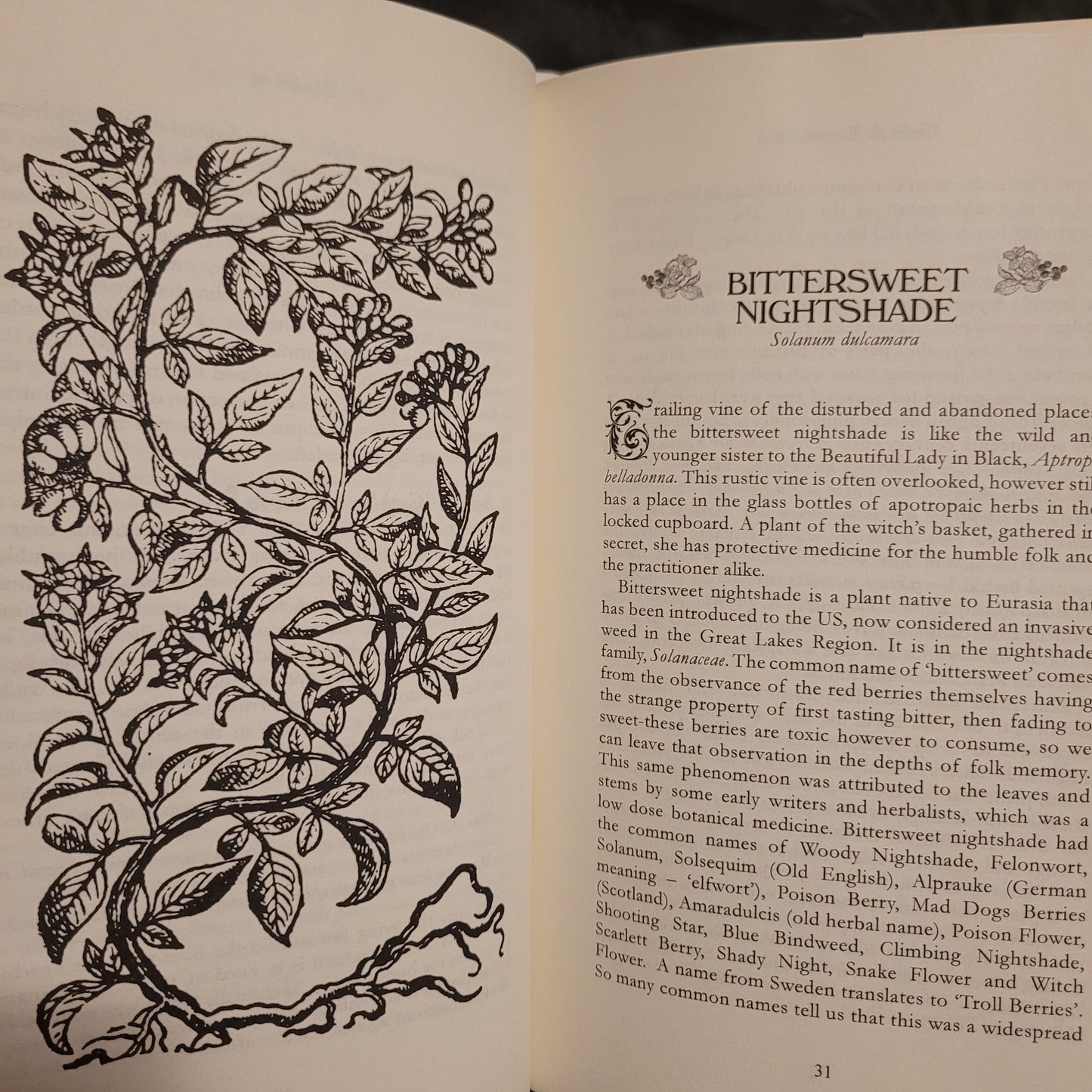 Under the Bramble Arch: A Folk Grimoire of Wayside Plant Lore and Practicum by Corinne Boyer (Troy Books, 2019) Dust Jacketed Hardback Edition