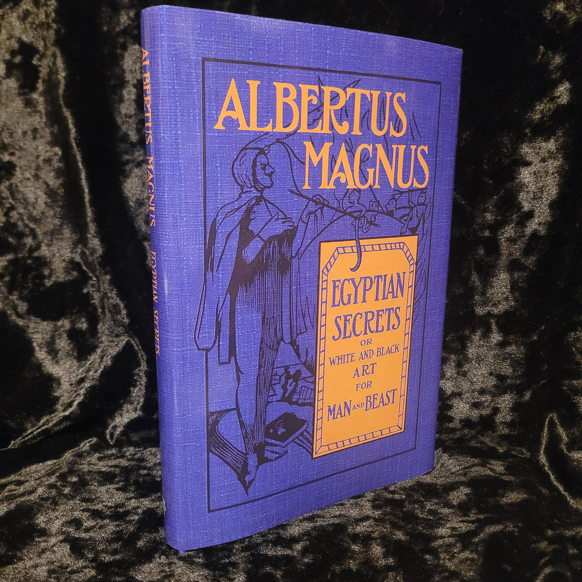 Egyptian Secrets of Albertus Magnus (Troy Books, 2026) Hardback