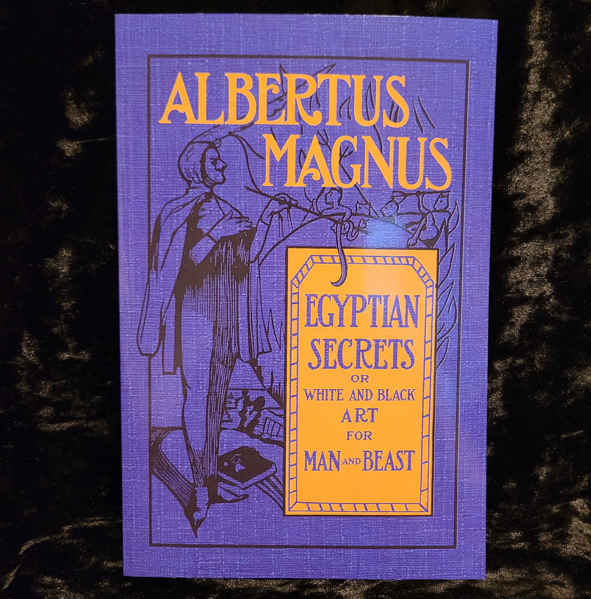 Egyptian Secrets of Albertus Magnus (Troy Books, 2026) Paperback