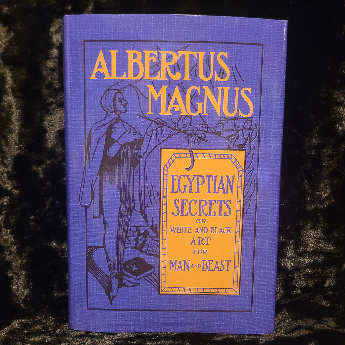 Egyptian Secrets of Albertus Magnus (Troy Books, 2026) Hardback