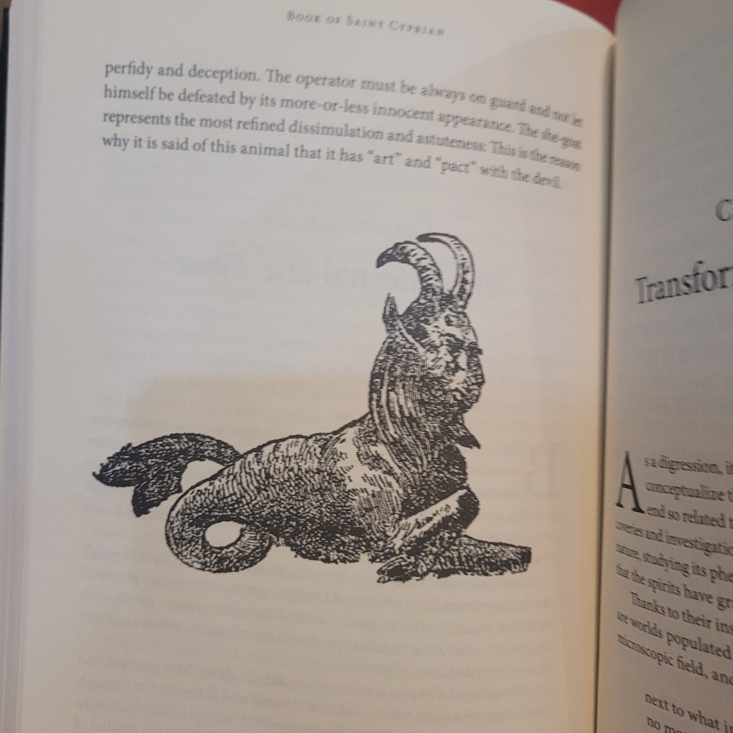 Bibliotheca Sulfurina: Book of Saint Cyprian (Nephilim Press, 2018) Limited Edition Hardcover